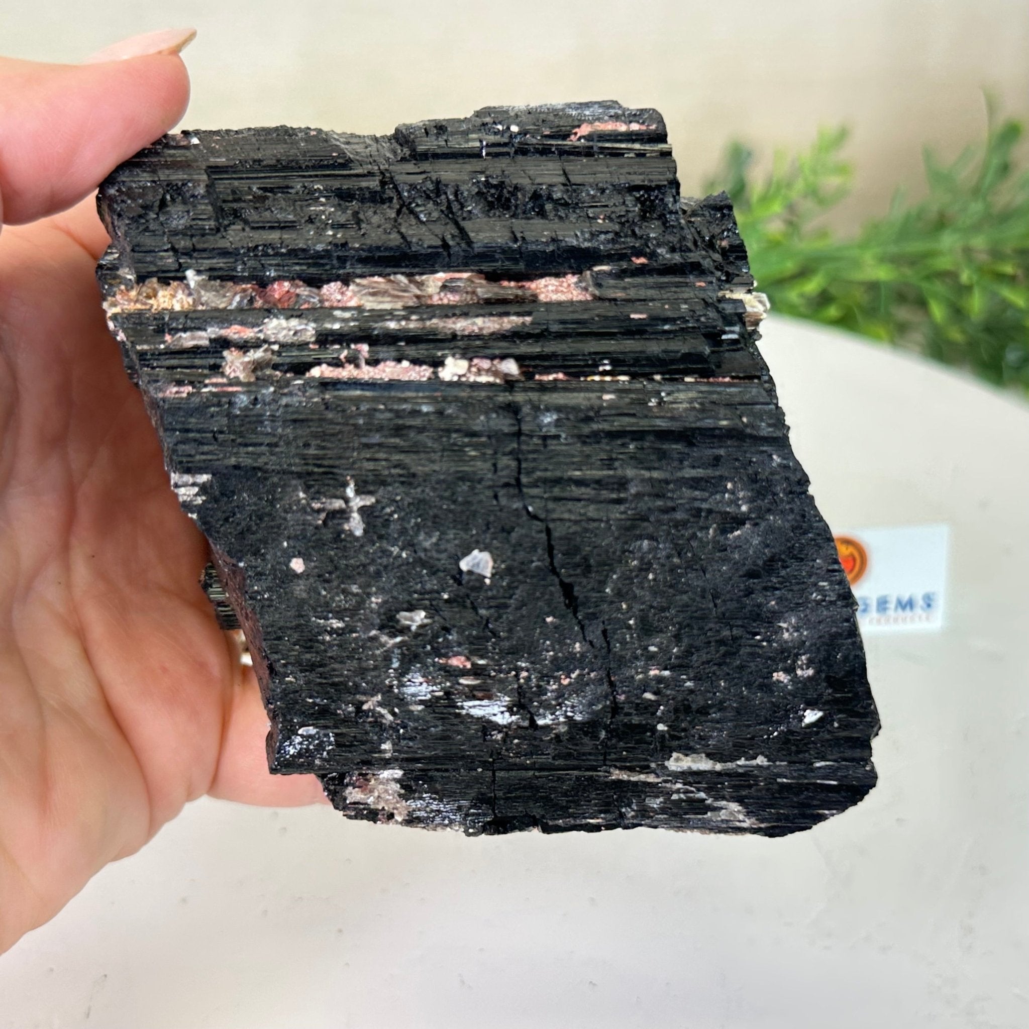 Black Tourmaline Cluster, 2.4 lbs and 4.3" Long #3302BT - 019 - Brazil GemsBrazil GemsBlack Tourmaline Cluster, 2.4 lbs and 4.3" Long #3302BT - 019Small Clusters with Flat Bases3302BT - 019