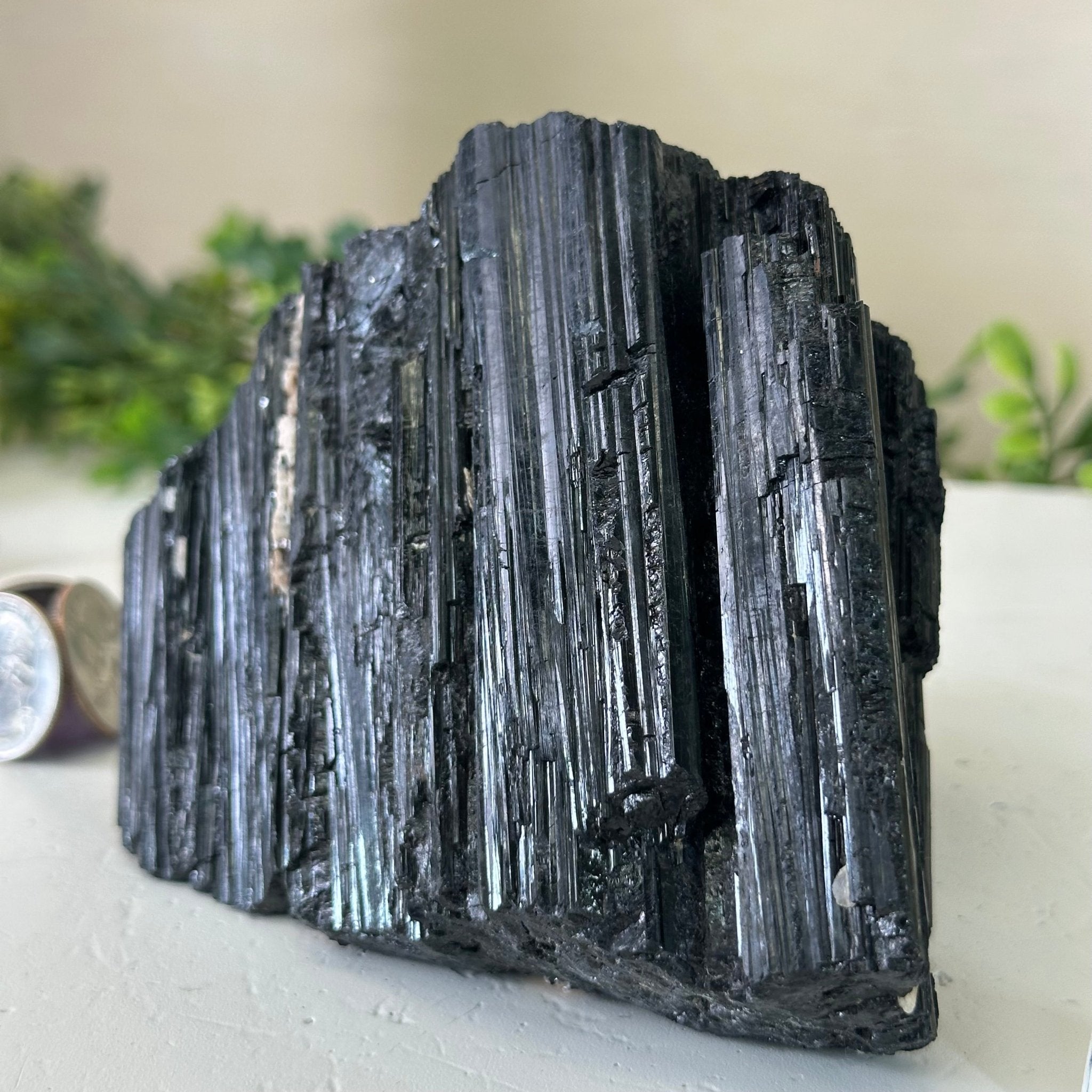 Black Tourmaline Cluster, 2.8 lbs and 3.7" Tall #3302BT - 021 - Brazil GemsBrazil GemsBlack Tourmaline Cluster, 2.8 lbs and 3.7" Tall #3302BT - 021Small Clusters with Flat Bases3302BT - 021