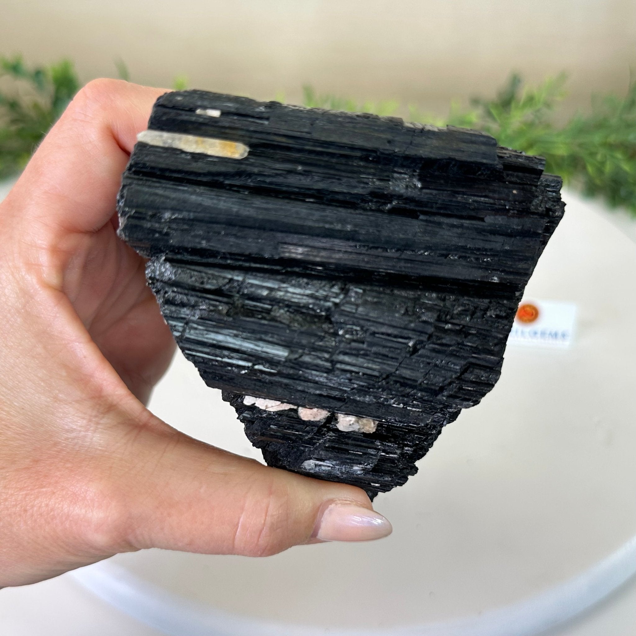 Black Tourmaline Cluster, 2.8 lbs and 3.7" Tall #3302BT - 021 - Brazil GemsBrazil GemsBlack Tourmaline Cluster, 2.8 lbs and 3.7" Tall #3302BT - 021Small Clusters with Flat Bases3302BT - 021