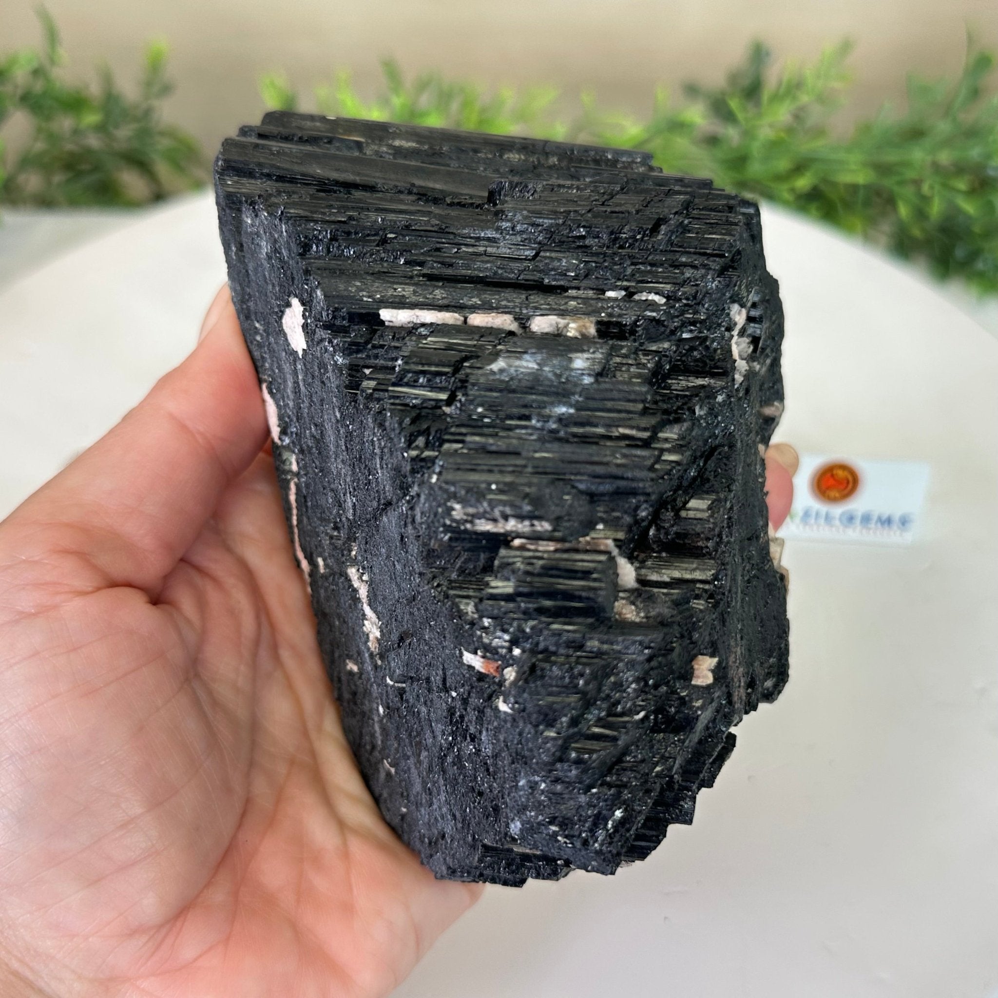 Black Tourmaline Cluster, 2.8 lbs and 3.7" Tall #3302BT - 021 - Brazil GemsBrazil GemsBlack Tourmaline Cluster, 2.8 lbs and 3.7" Tall #3302BT - 021Small Clusters with Flat Bases3302BT - 021