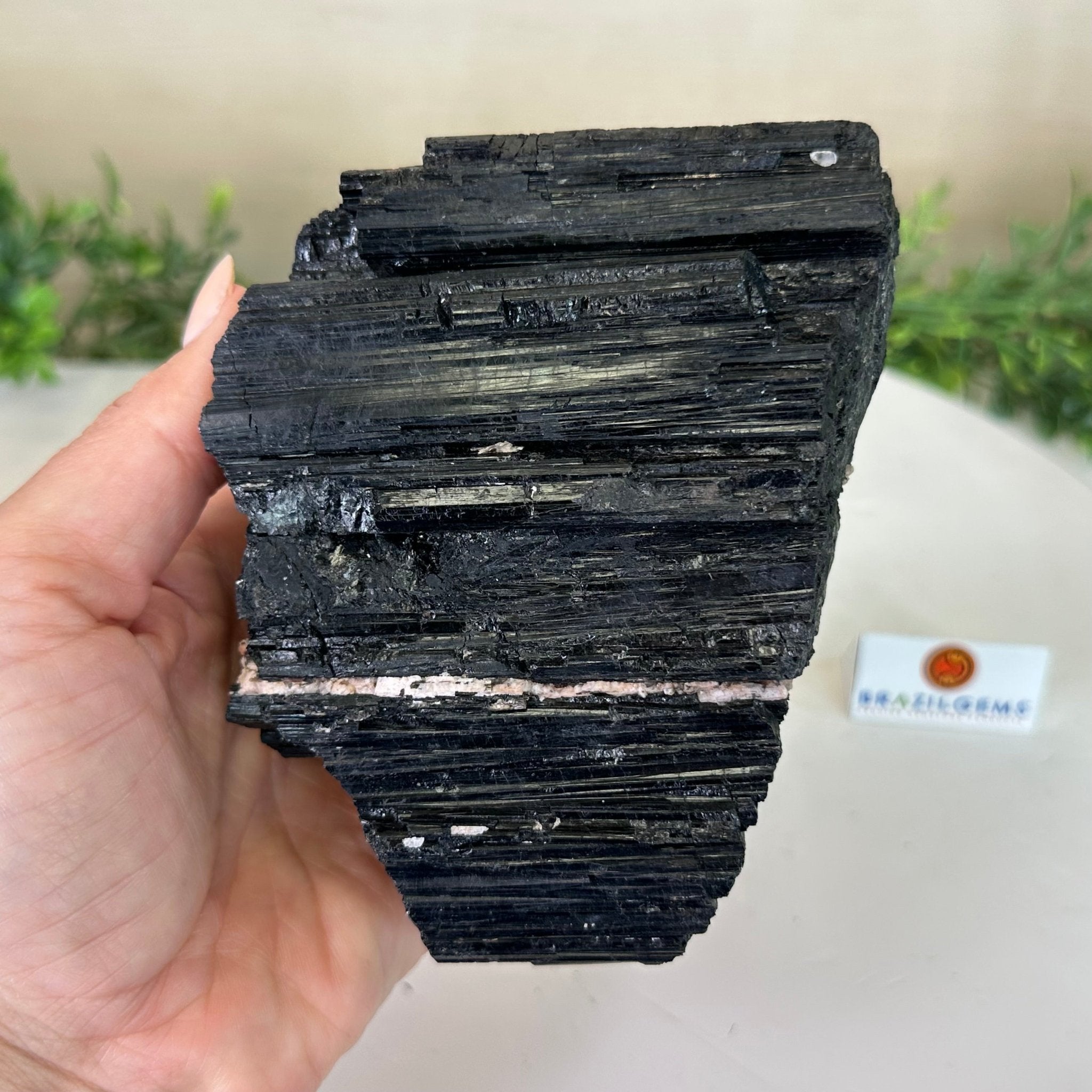 Black Tourmaline Cluster, 2.8 lbs and 3.7" Tall #3302BT - 021 - Brazil GemsBrazil GemsBlack Tourmaline Cluster, 2.8 lbs and 3.7" Tall #3302BT - 021Small Clusters with Flat Bases3302BT - 021