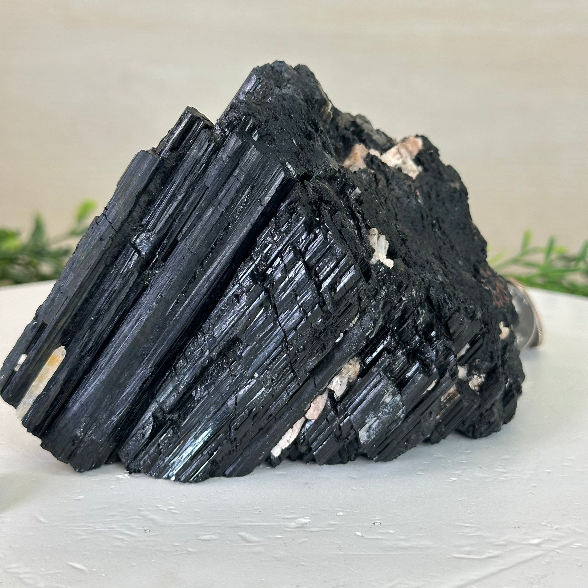 Black Tourmaline Cluster, 2.8 lbs and 3.7" Tall #3302BT - 021 - Brazil GemsBrazil GemsBlack Tourmaline Cluster, 2.8 lbs and 3.7" Tall #3302BT - 021Small Clusters with Flat Bases3302BT - 021