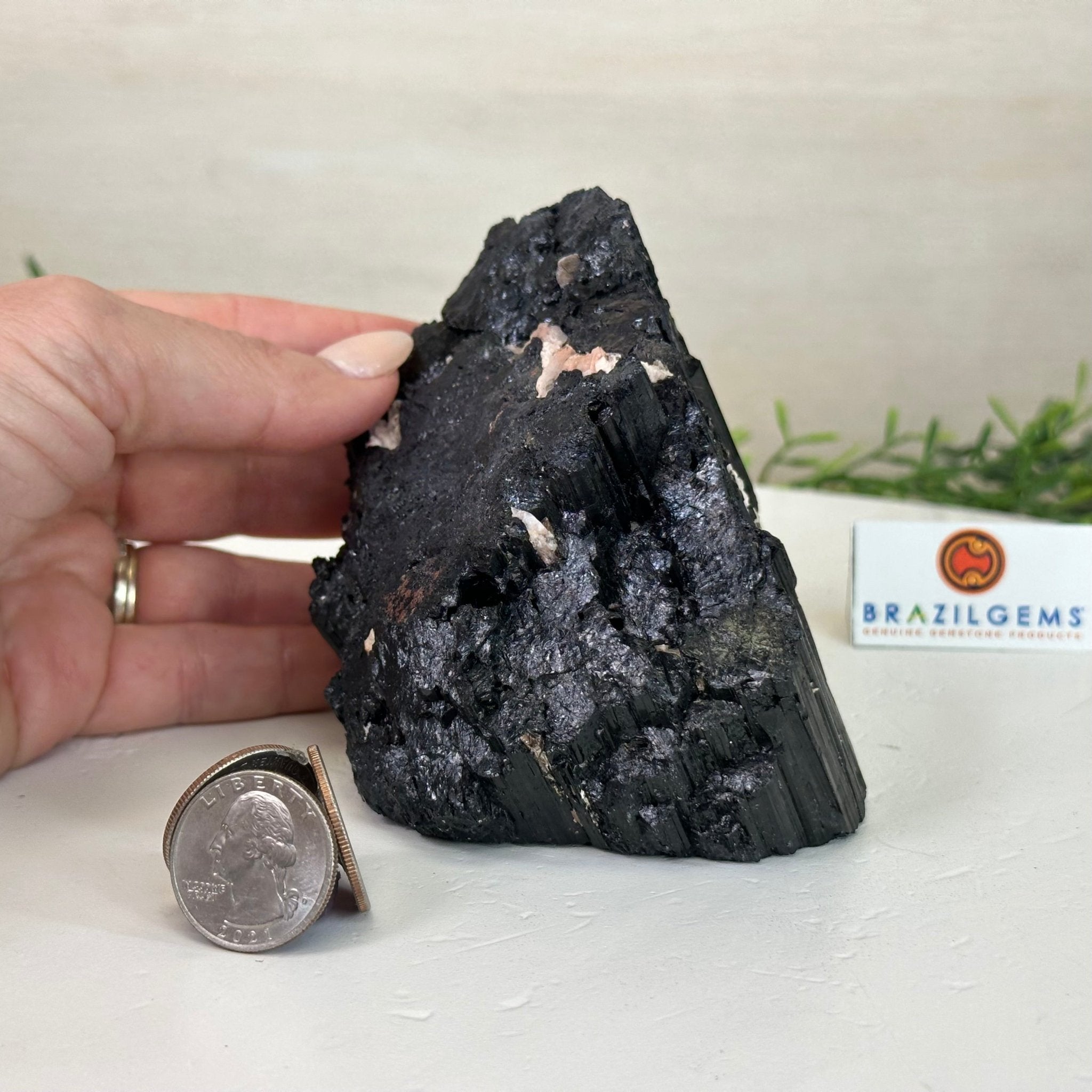 Black Tourmaline Cluster, 2.8 lbs and 3.7" Tall #3302BT - 021 - Brazil GemsBrazil GemsBlack Tourmaline Cluster, 2.8 lbs and 3.7" Tall #3302BT - 021Small Clusters with Flat Bases3302BT - 021