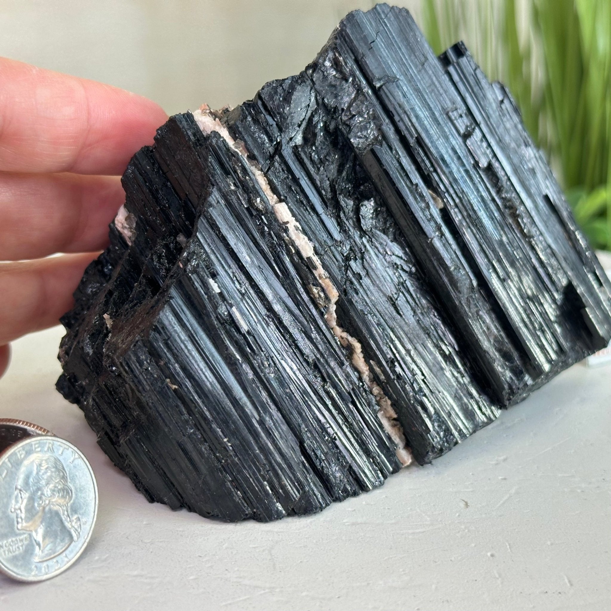 Black Tourmaline Cluster, 2.8 lbs and 3.7" Tall #3302BT - 021 - Brazil GemsBrazil GemsBlack Tourmaline Cluster, 2.8 lbs and 3.7" Tall #3302BT - 021Small Clusters with Flat Bases3302BT - 021