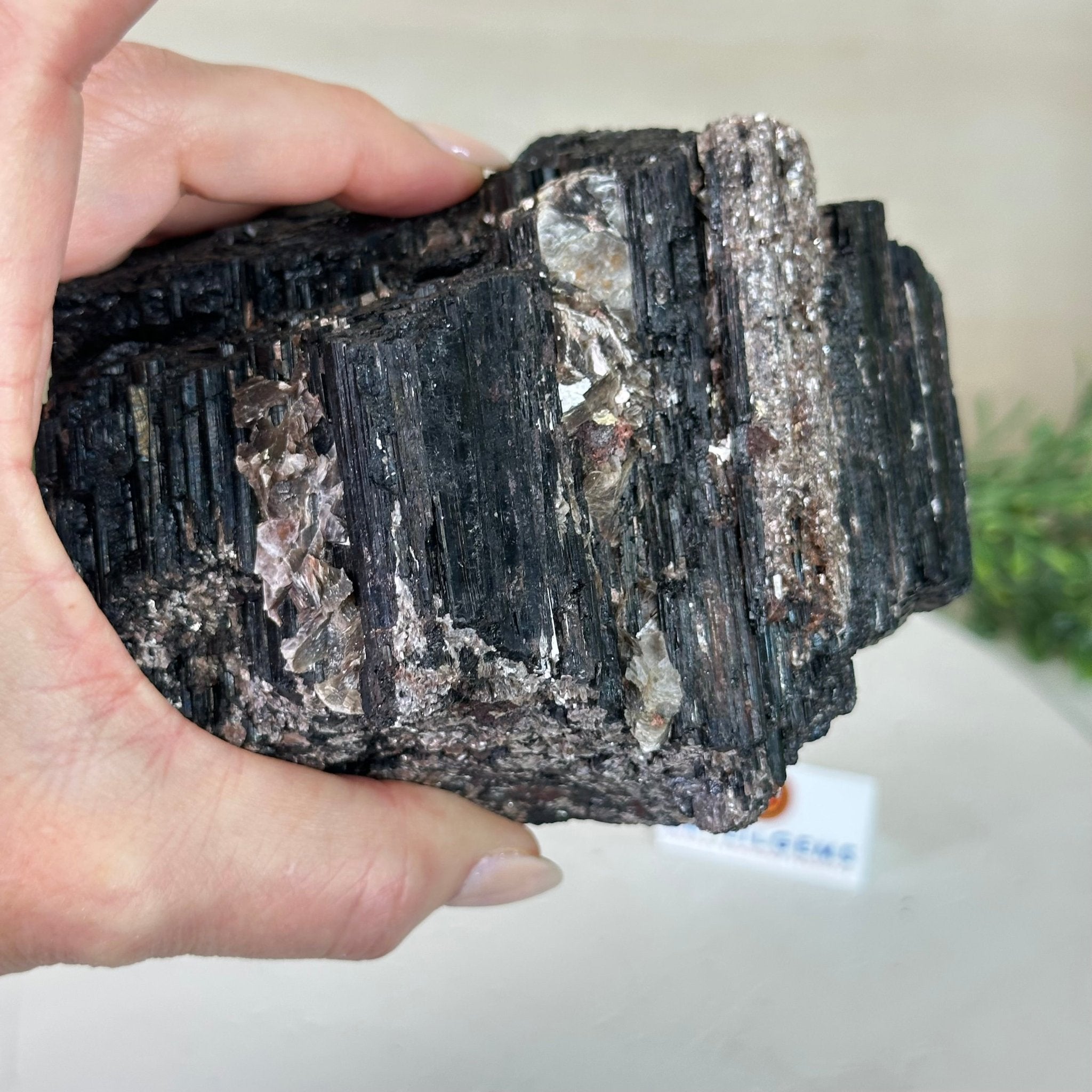 Black Tourmaline Cluster, 2.8 lbs and 4.9" Long #3302BT - 020 - Brazil GemsBrazil GemsBlack Tourmaline Cluster, 2.8 lbs and 4.9" Long #3302BT - 020Small Clusters with Flat Bases3302BT - 020