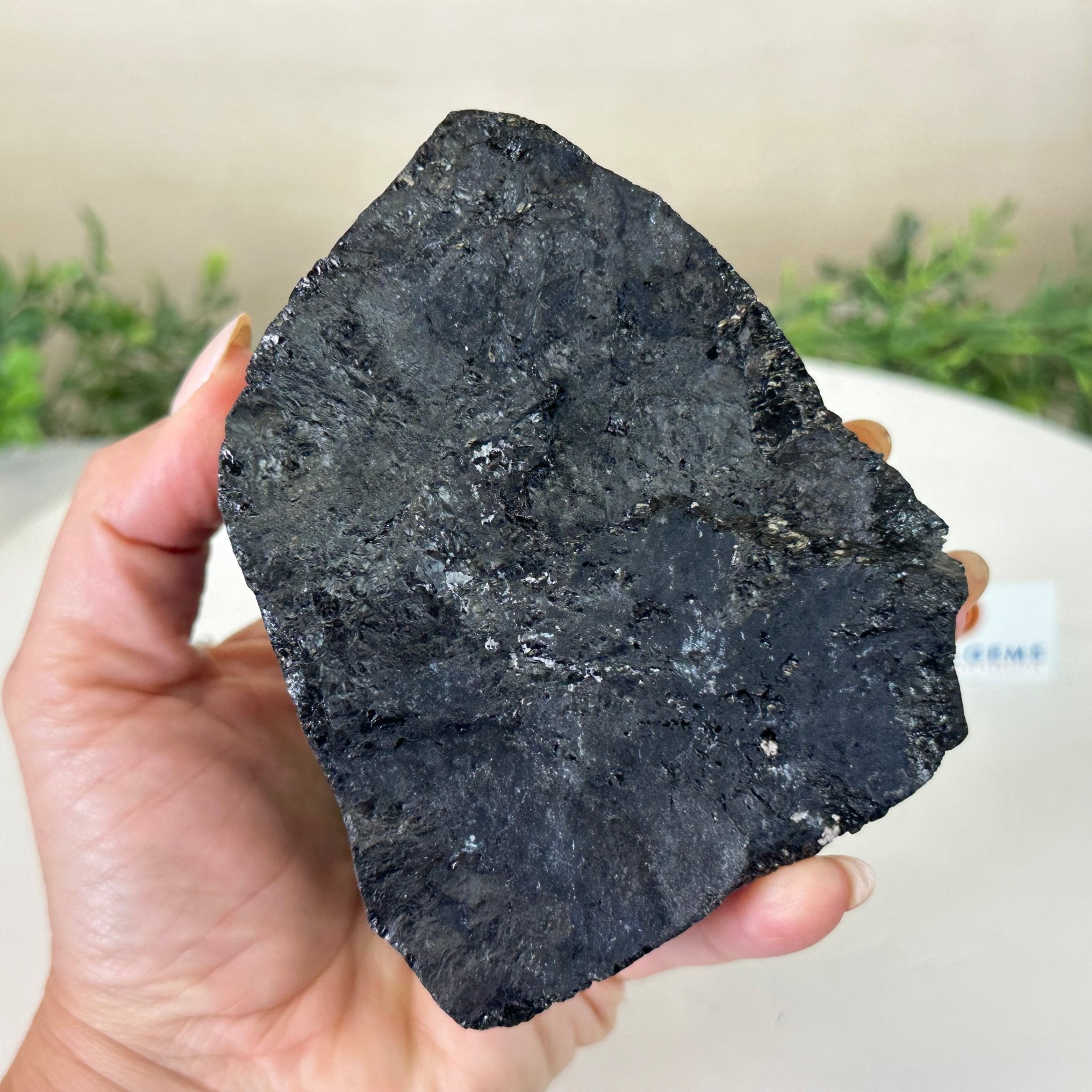 Black Tourmaline Cluster, 2.9 lbs and 3" Tall #3302BT - 023 - Brazil GemsBrazil GemsBlack Tourmaline Cluster, 2.9 lbs and 3" Tall #3302BT - 023Small Clusters with Flat Bases3302BT - 023