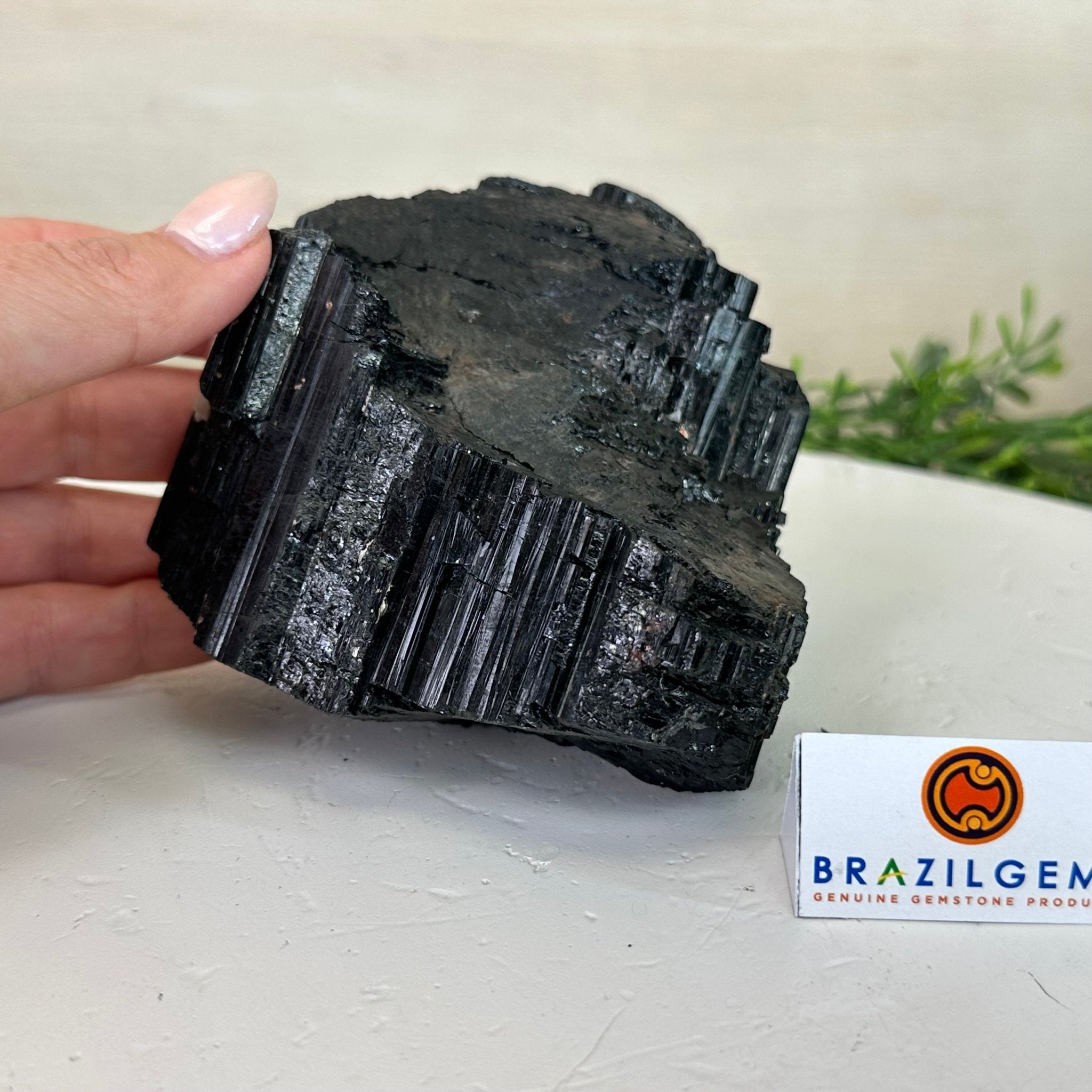 Black Tourmaline Cluster, 2.9 lbs and 3.3" Tall #3302BT - 022 - Brazil GemsBrazil GemsBlack Tourmaline Cluster, 2.9 lbs and 3.3" Tall #3302BT - 022Small Clusters with Flat Bases3302BT - 022