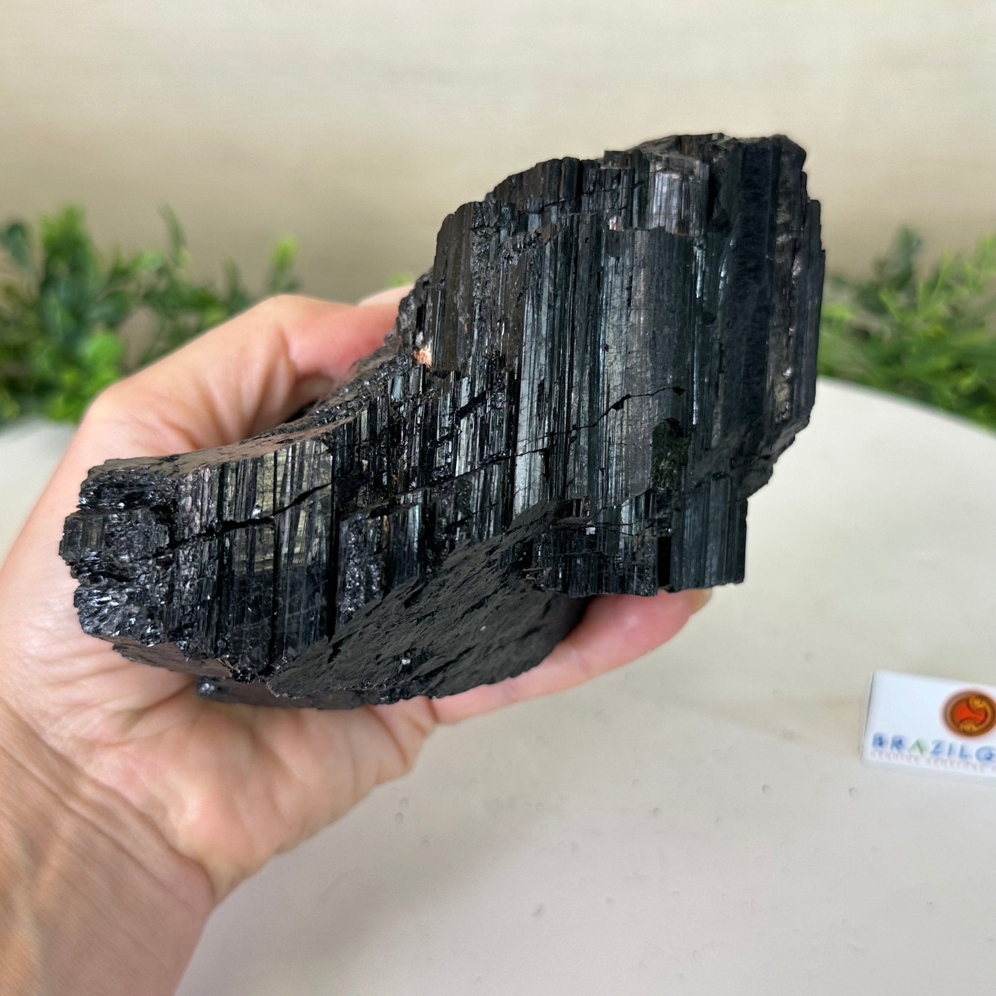 Black Tourmaline Cluster, 2.9 lbs and 3.3" Tall #3302BT - 022 - Brazil GemsBrazil GemsBlack Tourmaline Cluster, 2.9 lbs and 3.3" Tall #3302BT - 022Small Clusters with Flat Bases3302BT - 022