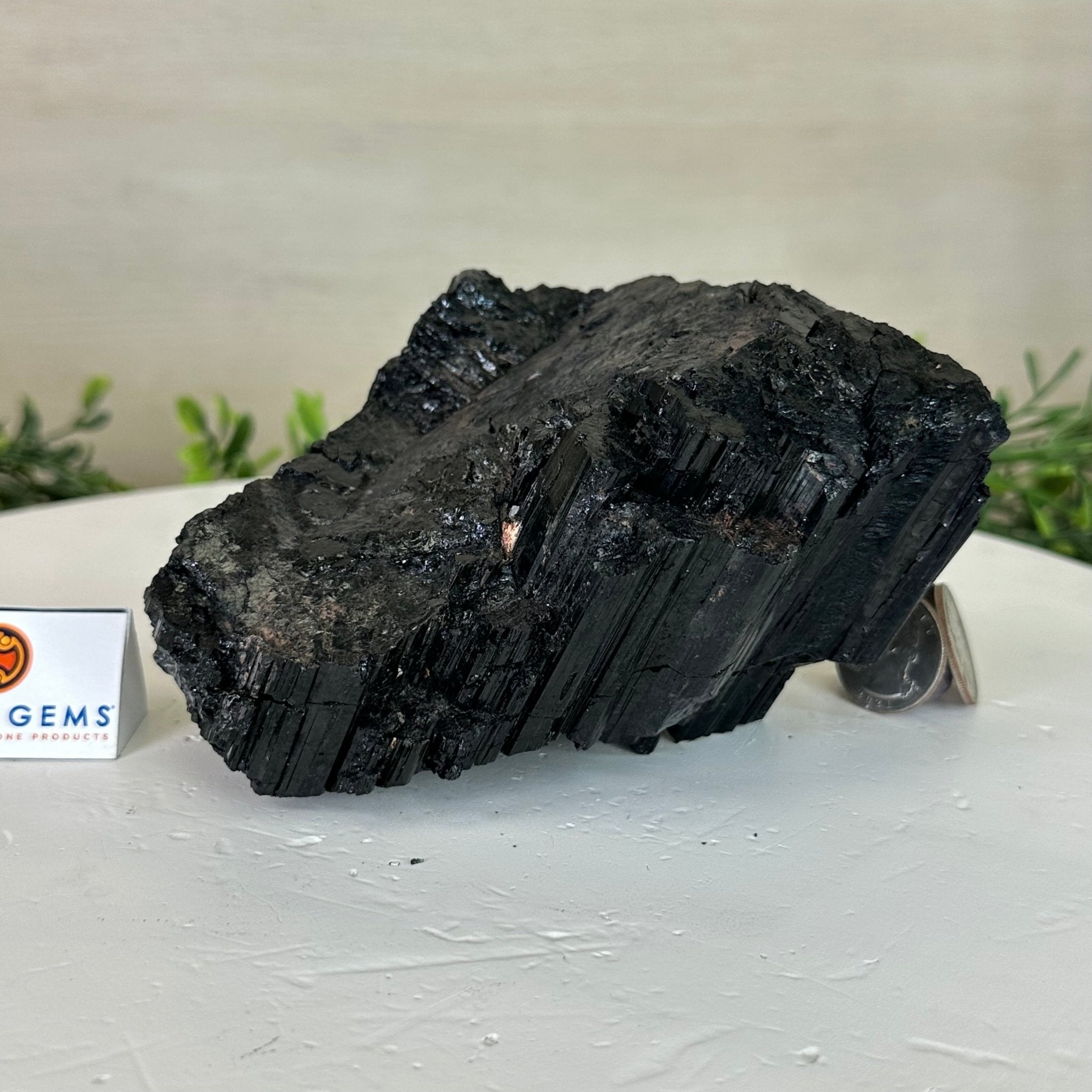 Black Tourmaline Cluster, 2.9 lbs and 3.3" Tall #3302BT - 022 - Brazil GemsBrazil GemsBlack Tourmaline Cluster, 2.9 lbs and 3.3" Tall #3302BT - 022Small Clusters with Flat Bases3302BT - 022