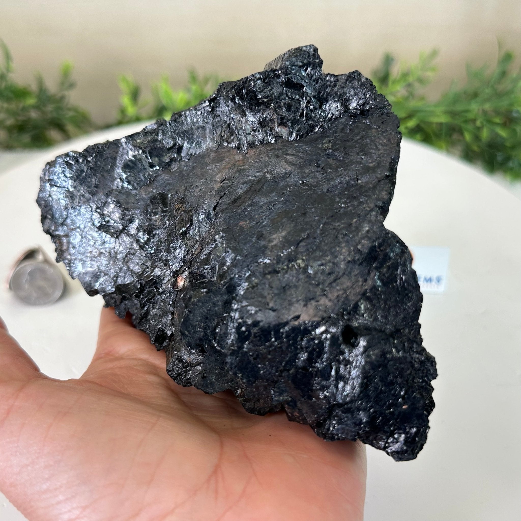 Black Tourmaline Cluster, 2.9 lbs and 3.3" Tall #3302BT - 022 - Brazil GemsBrazil GemsBlack Tourmaline Cluster, 2.9 lbs and 3.3" Tall #3302BT - 022Small Clusters with Flat Bases3302BT - 022