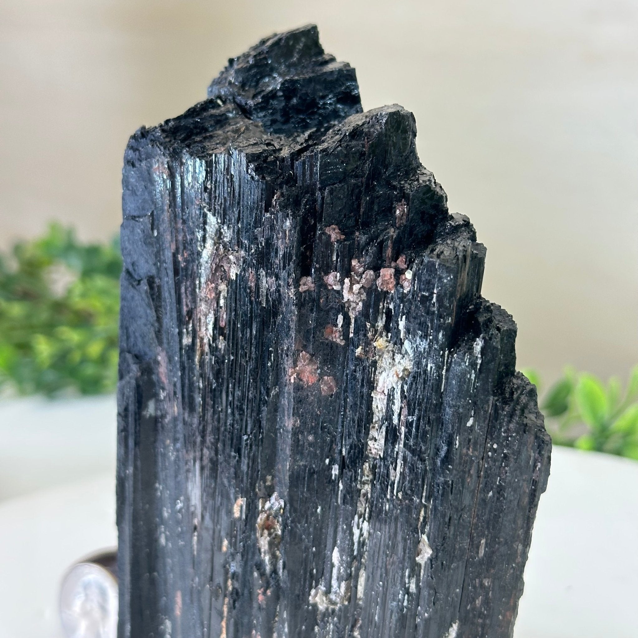 Black Tourmaline Cluster, 2.9 lbs and 6.4" Tall #3302BT - 024 - Brazil GemsBrazil GemsBlack Tourmaline Cluster, 2.9 lbs and 6.4" Tall #3302BT - 024Small Clusters with Flat Bases3302BT - 024