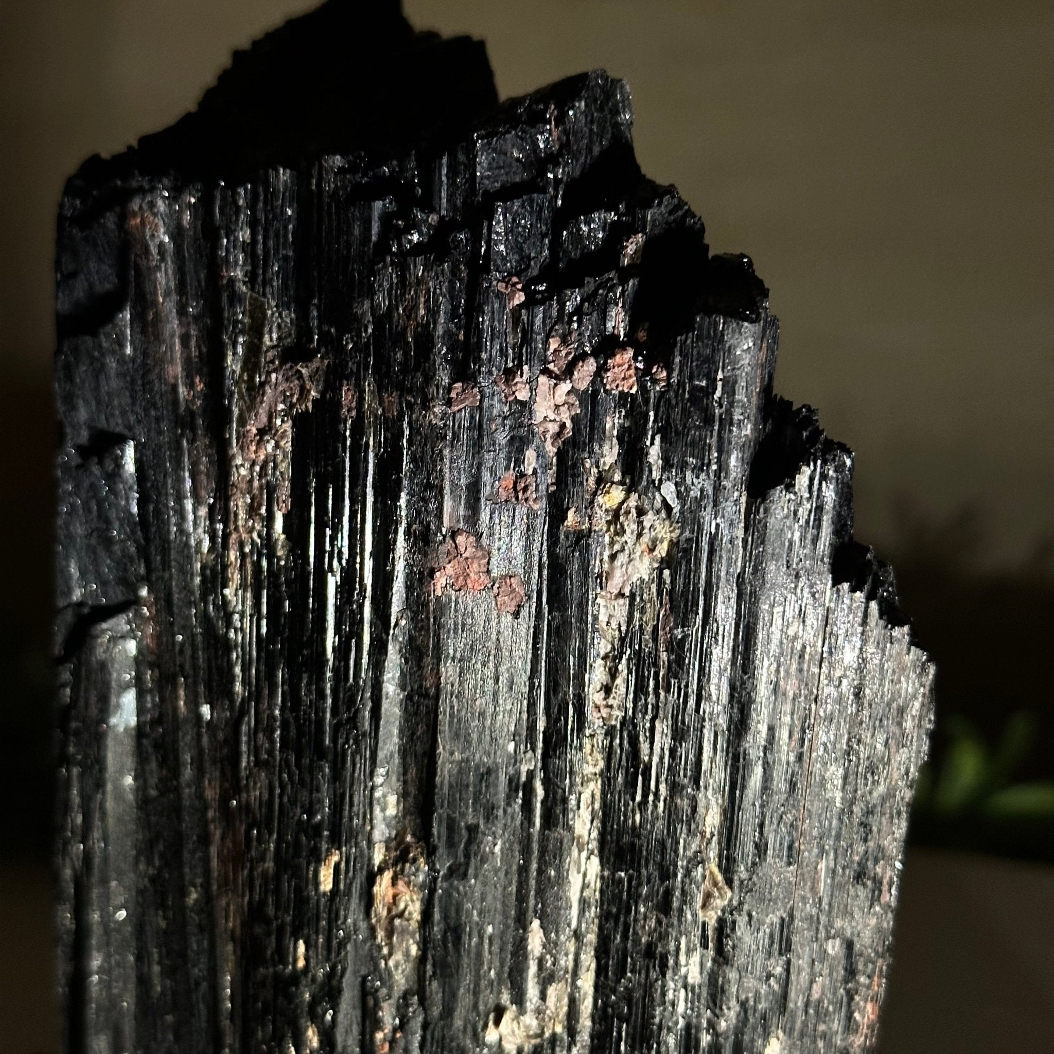 Black Tourmaline Cluster, 2.9 lbs and 6.4" Tall #3302BT - 024 - Brazil GemsBrazil GemsBlack Tourmaline Cluster, 2.9 lbs and 6.4" Tall #3302BT - 024Small Clusters with Flat Bases3302BT - 024