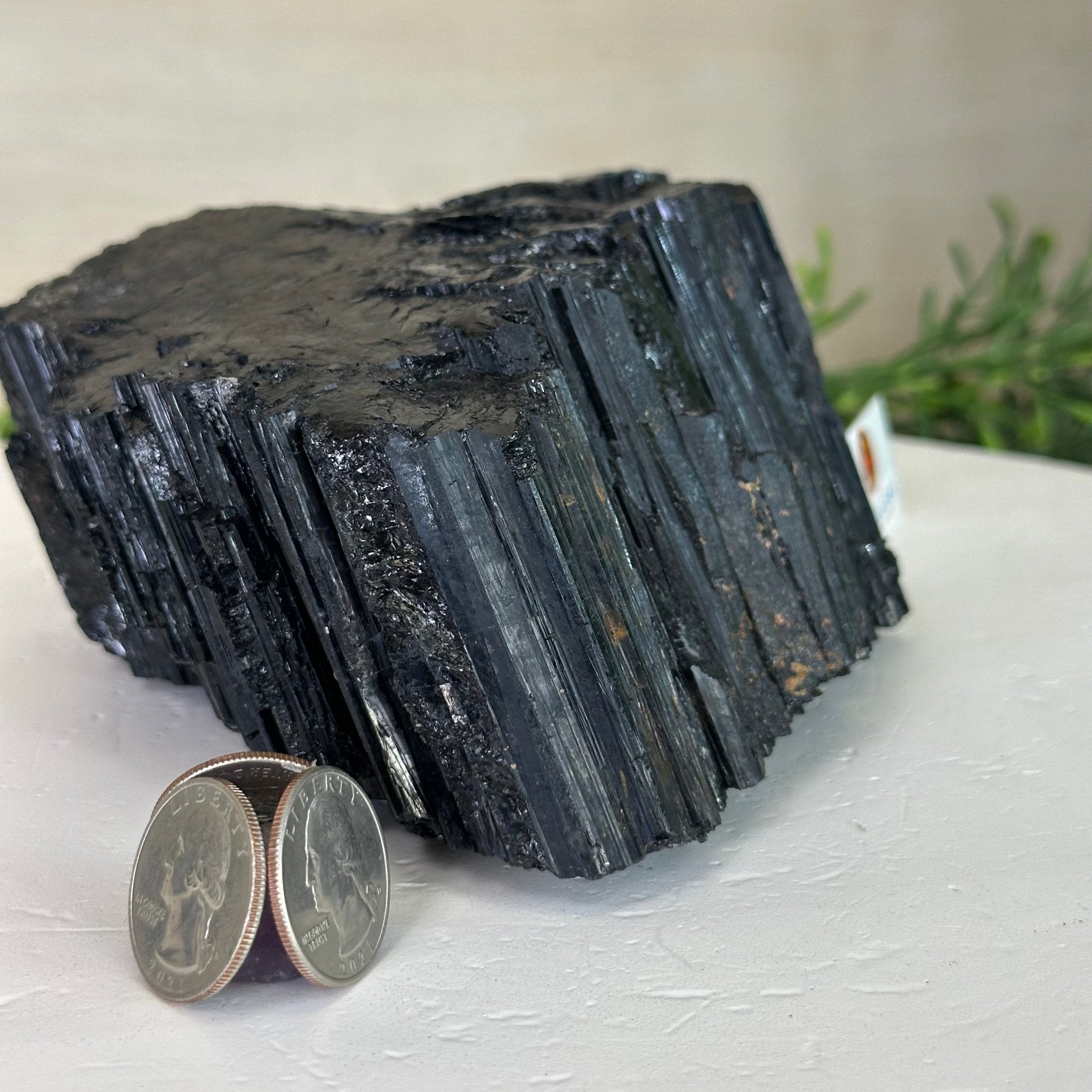 Black Tourmaline Cluster, 4.2 lbs and 3" Tall #3302BT - 025 - Brazil GemsBrazil GemsBlack Tourmaline Cluster, 4.2 lbs and 3" Tall #3302BT - 025Small Clusters with Flat Bases3302BT - 025