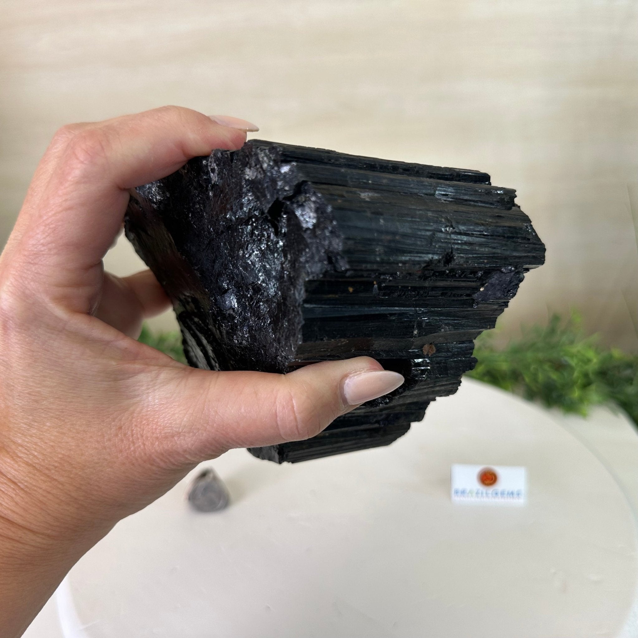 Black Tourmaline Cluster, 4.2 lbs and 3" Tall #3302BT - 025 - Brazil GemsBrazil GemsBlack Tourmaline Cluster, 4.2 lbs and 3" Tall #3302BT - 025Small Clusters with Flat Bases3302BT - 025