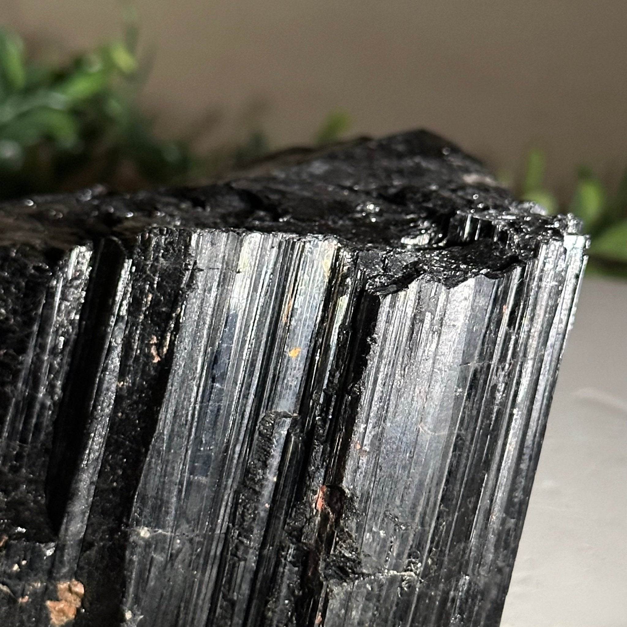 Black Tourmaline Cluster, 4.2 lbs and 3" Tall #3302BT - 025 - Brazil GemsBrazil GemsBlack Tourmaline Cluster, 4.2 lbs and 3" Tall #3302BT - 025Small Clusters with Flat Bases3302BT - 025