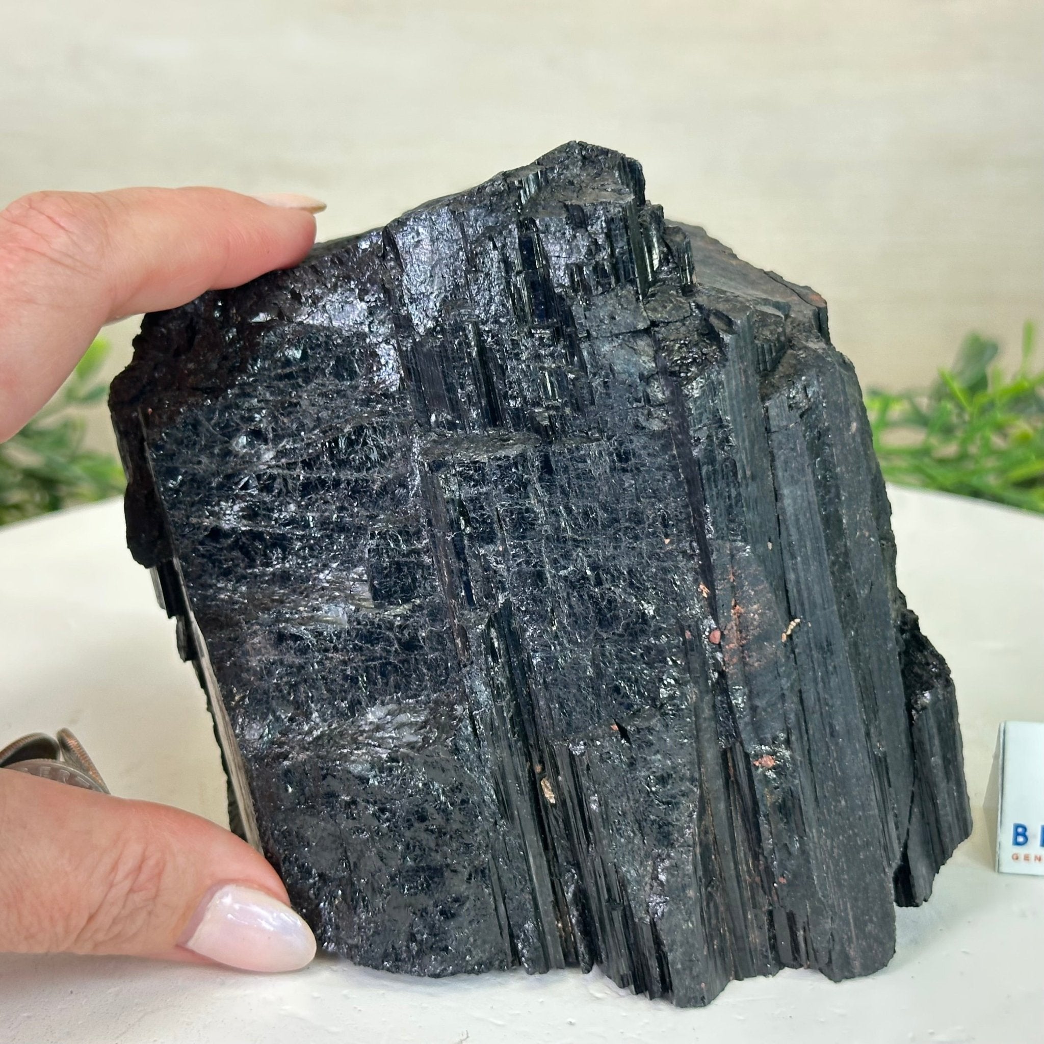 Black Tourmaline Cluster, 4.8 lbs and 4.6" Tall #3302BT - 026 - Brazil GemsBrazil GemsBlack Tourmaline Cluster, 4.8 lbs and 4.6" Tall #3302BT - 026Small Clusters with Flat Bases3302BT - 026