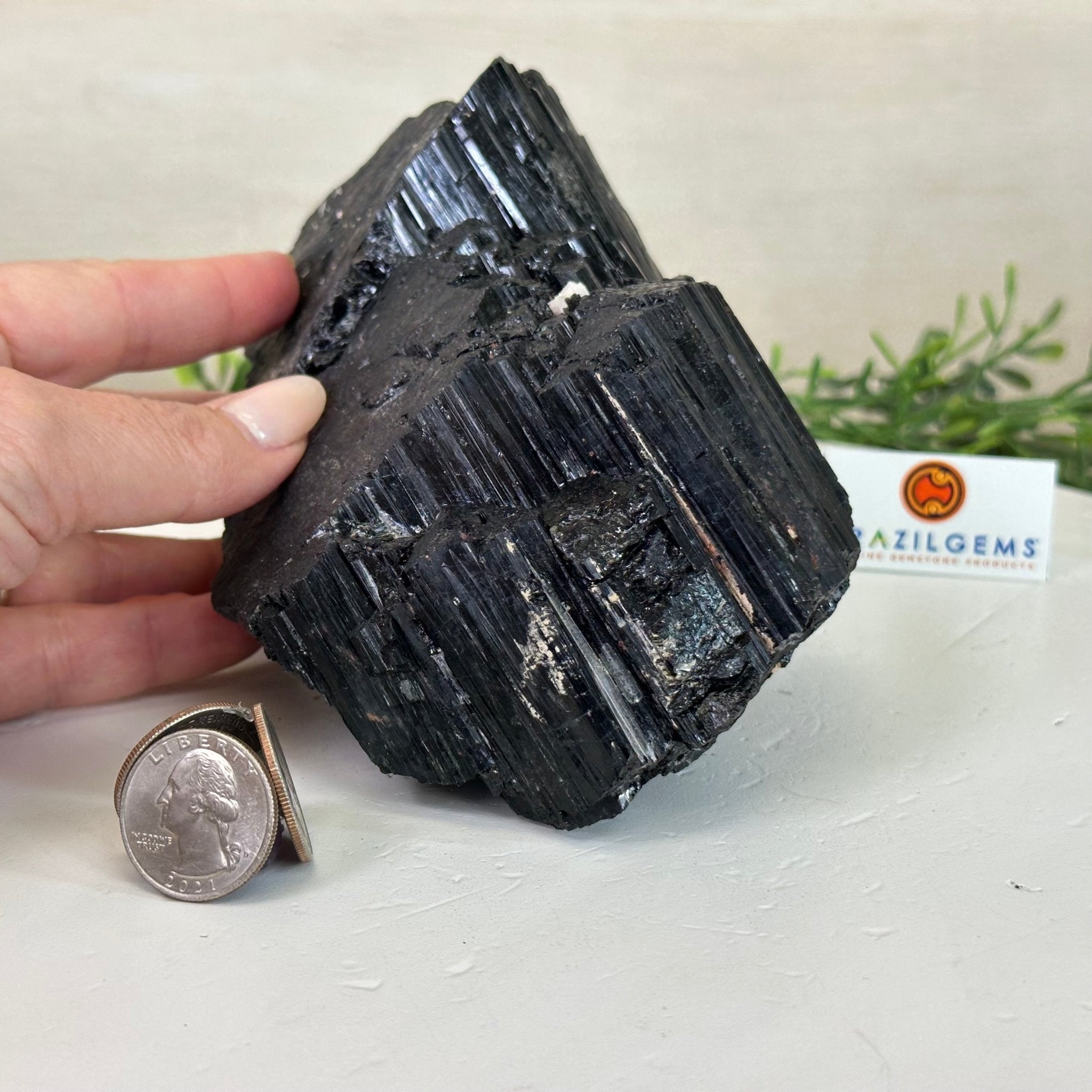 Black Tourmaline Cluster, 4.9 lbs and 4.1" Tall #3302BT - 027 - Brazil GemsBrazil GemsBlack Tourmaline Cluster, 4.9 lbs and 4.1" Tall #3302BT - 027Small Clusters with Flat Bases3302BT - 027