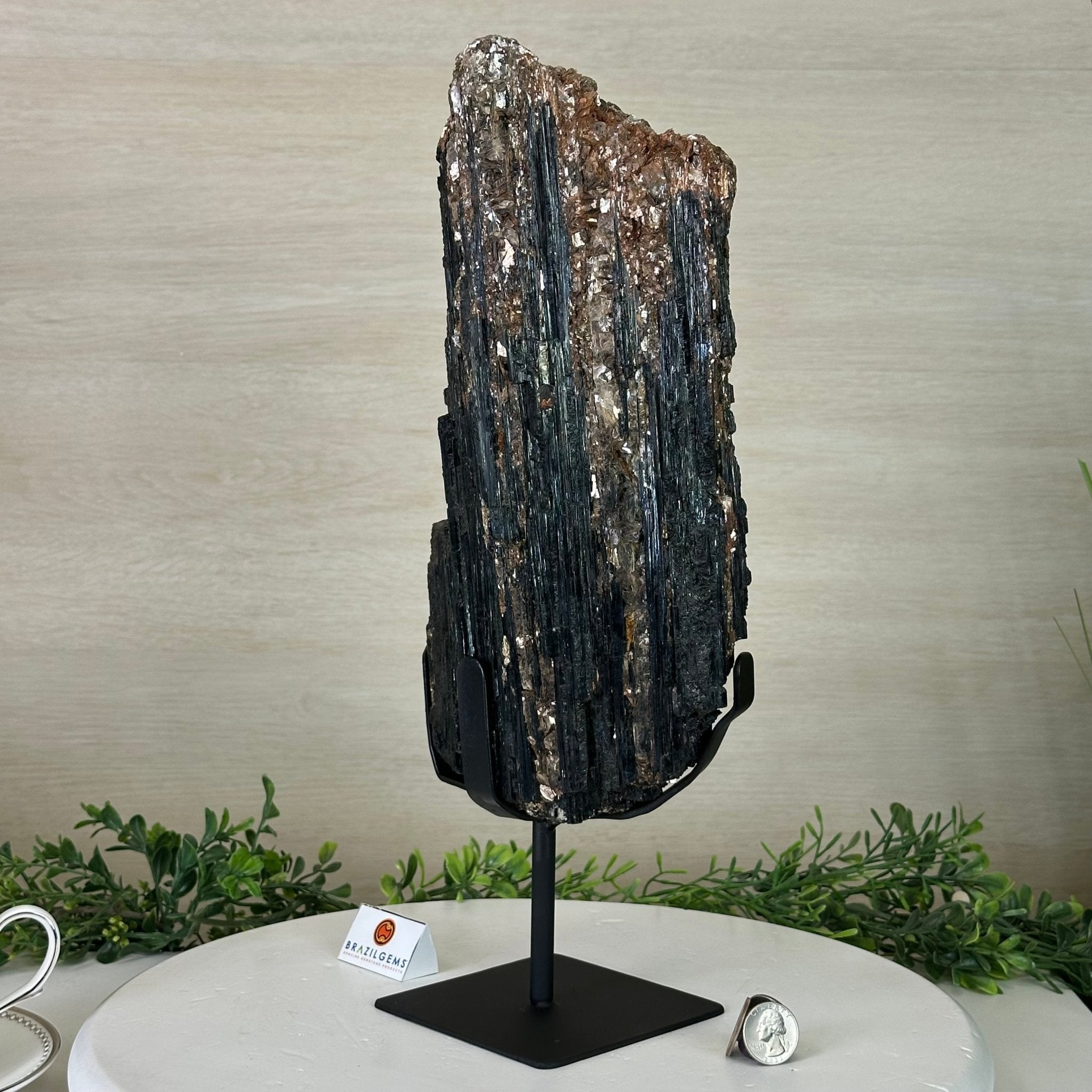 Black Tourmaline Cluster on a Metal Stand, 14.5 lbs and 15.6" Tall #6020 - 0007 - Brazil GemsBrazil GemsBlack Tourmaline Cluster on a Metal Stand, 14.5 lbs and 15.6" Tall #6020 - 0007Clusters on Wood Bases6020 - 0007