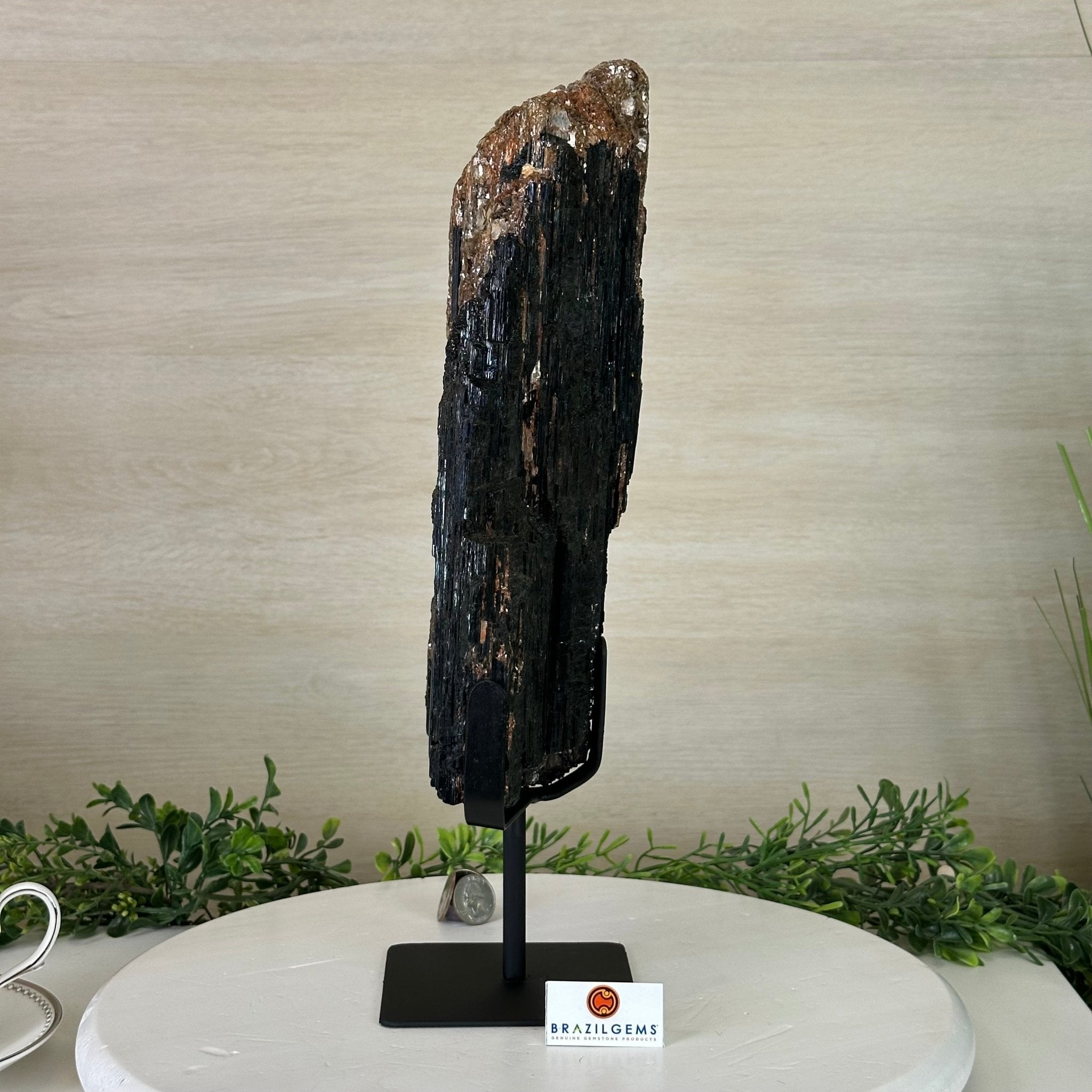 Black Tourmaline Cluster on a Metal Stand, 14.5 lbs and 15.6" Tall #6020 - 0007 - Brazil GemsBrazil GemsBlack Tourmaline Cluster on a Metal Stand, 14.5 lbs and 15.6" Tall #6020 - 0007Clusters on Wood Bases6020 - 0007