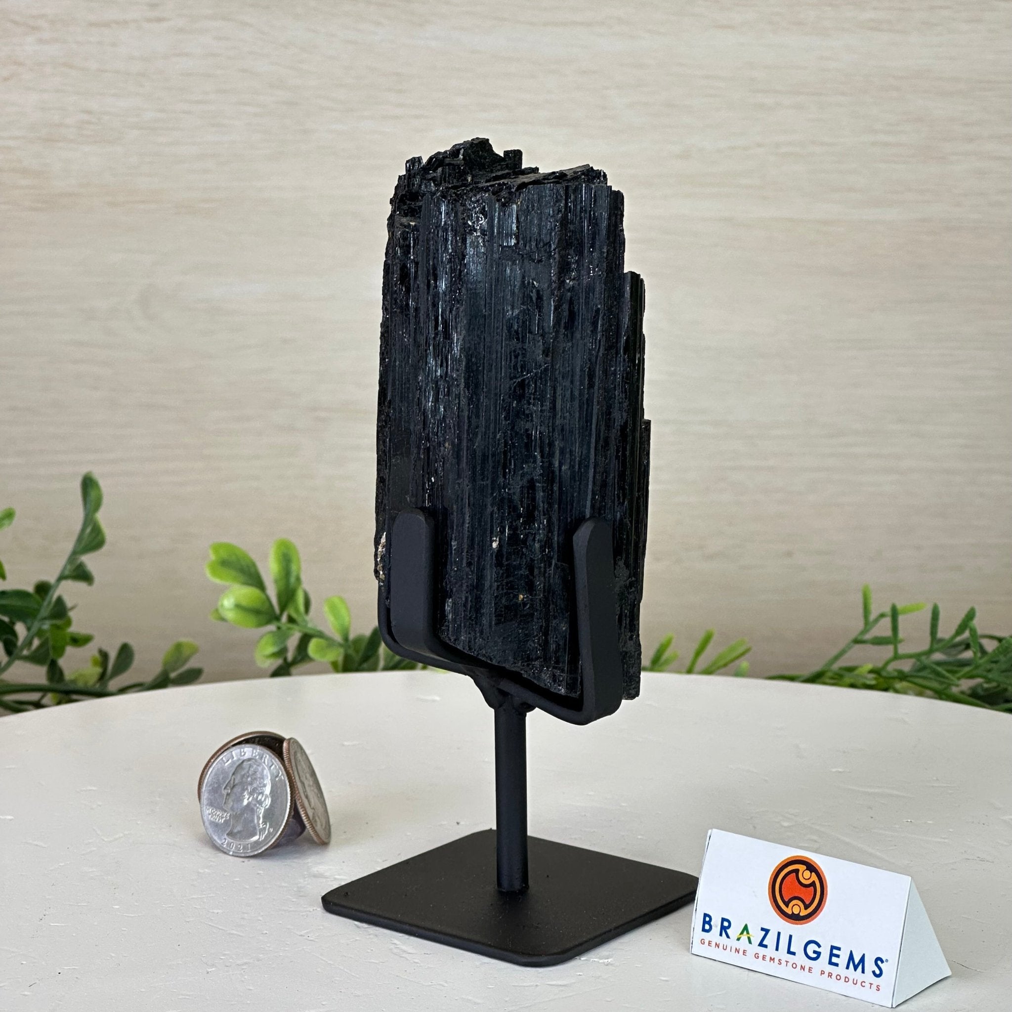 Black Tourmaline Cluster on a Metal Stand, 1.5 lbs and 6.1" Tall #6020 - 0001 - Brazil GemsBrazil GemsBlack Tourmaline Cluster on a Metal Stand, 1.5 lbs and 6.1" Tall #6020 - 0001Clusters on Wood Bases6020 - 0001