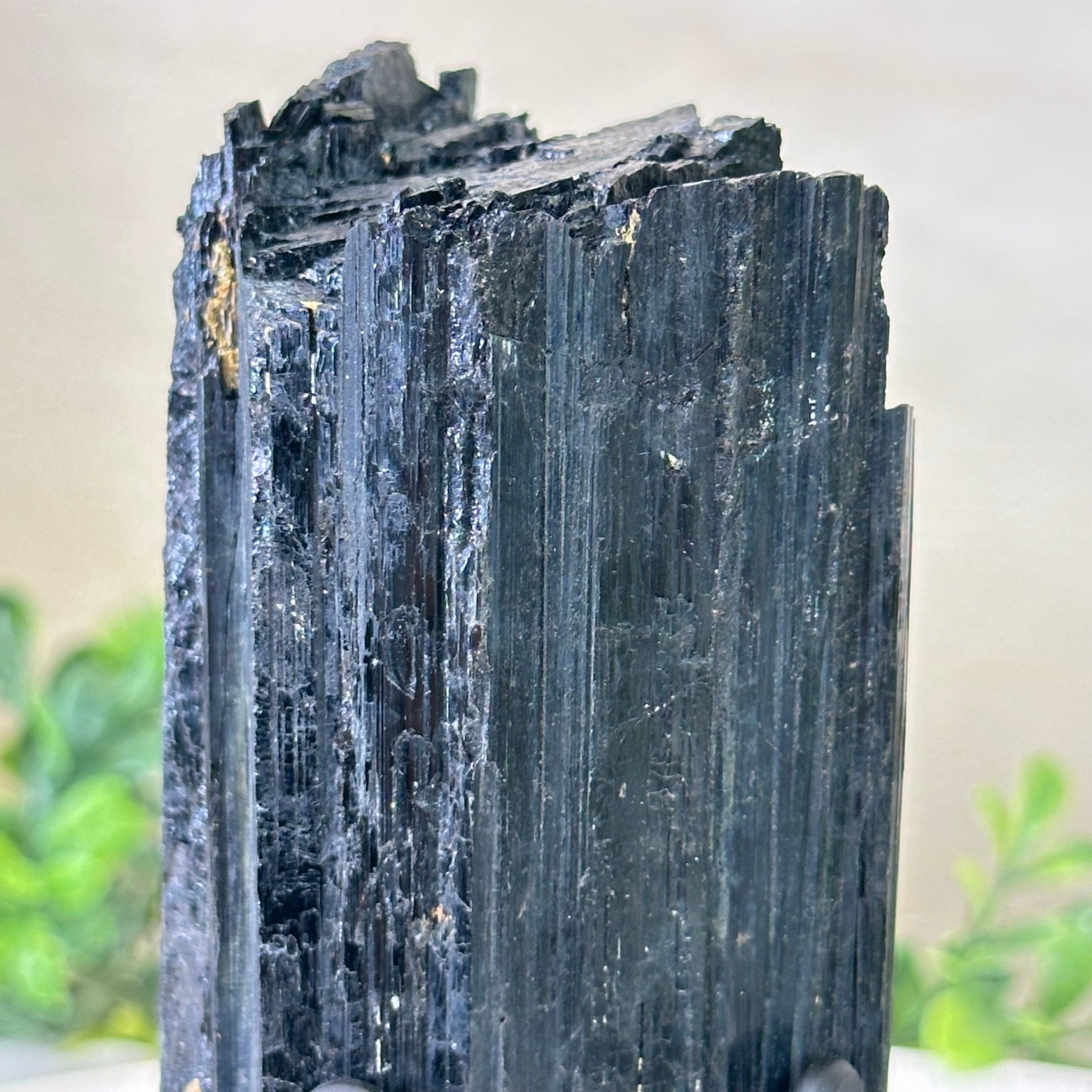 Black Tourmaline Cluster on a Metal Stand, 1.5 lbs and 6.1" Tall #6020 - 0001 - Brazil GemsBrazil GemsBlack Tourmaline Cluster on a Metal Stand, 1.5 lbs and 6.1" Tall #6020 - 0001Clusters on Wood Bases6020 - 0001