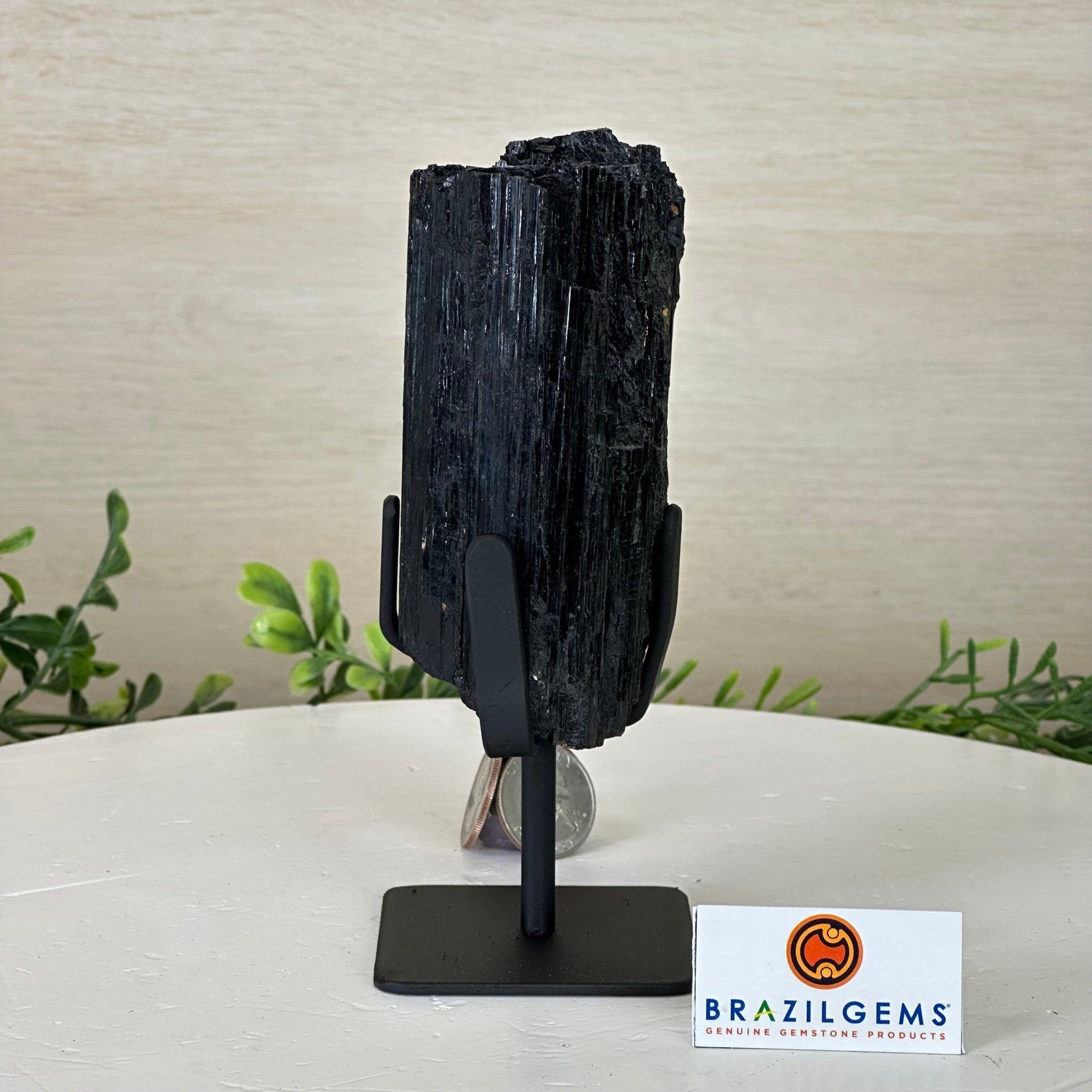 Black Tourmaline Cluster on a Metal Stand, 1.5 lbs and 6.1" Tall #6020 - 0001 - Brazil GemsBrazil GemsBlack Tourmaline Cluster on a Metal Stand, 1.5 lbs and 6.1" Tall #6020 - 0001Clusters on Wood Bases6020 - 0001