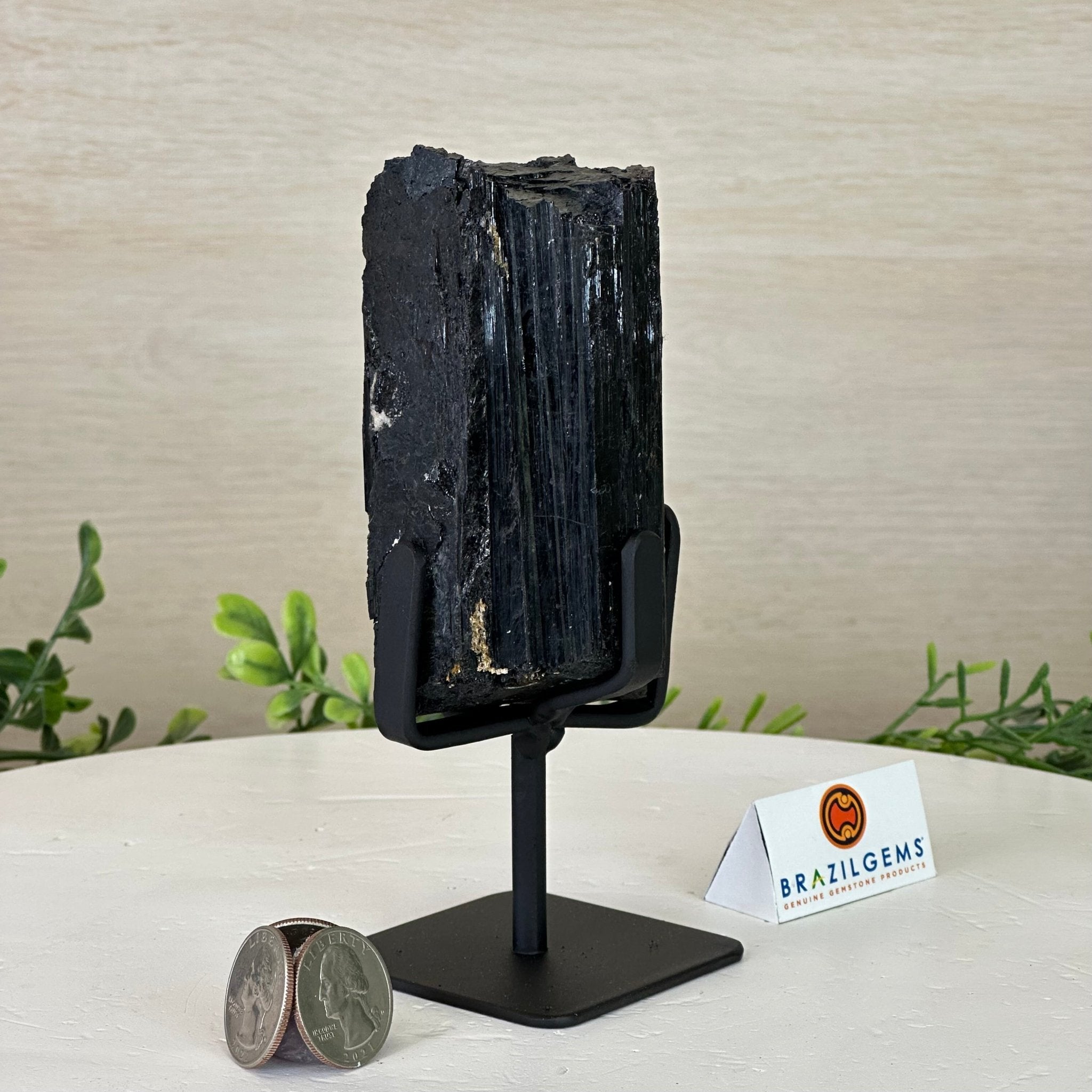 Black Tourmaline Cluster on a Metal Stand, 1.5 lbs and 6.1" Tall #6020 - 0001 - Brazil GemsBrazil GemsBlack Tourmaline Cluster on a Metal Stand, 1.5 lbs and 6.1" Tall #6020 - 0001Clusters on Wood Bases6020 - 0001