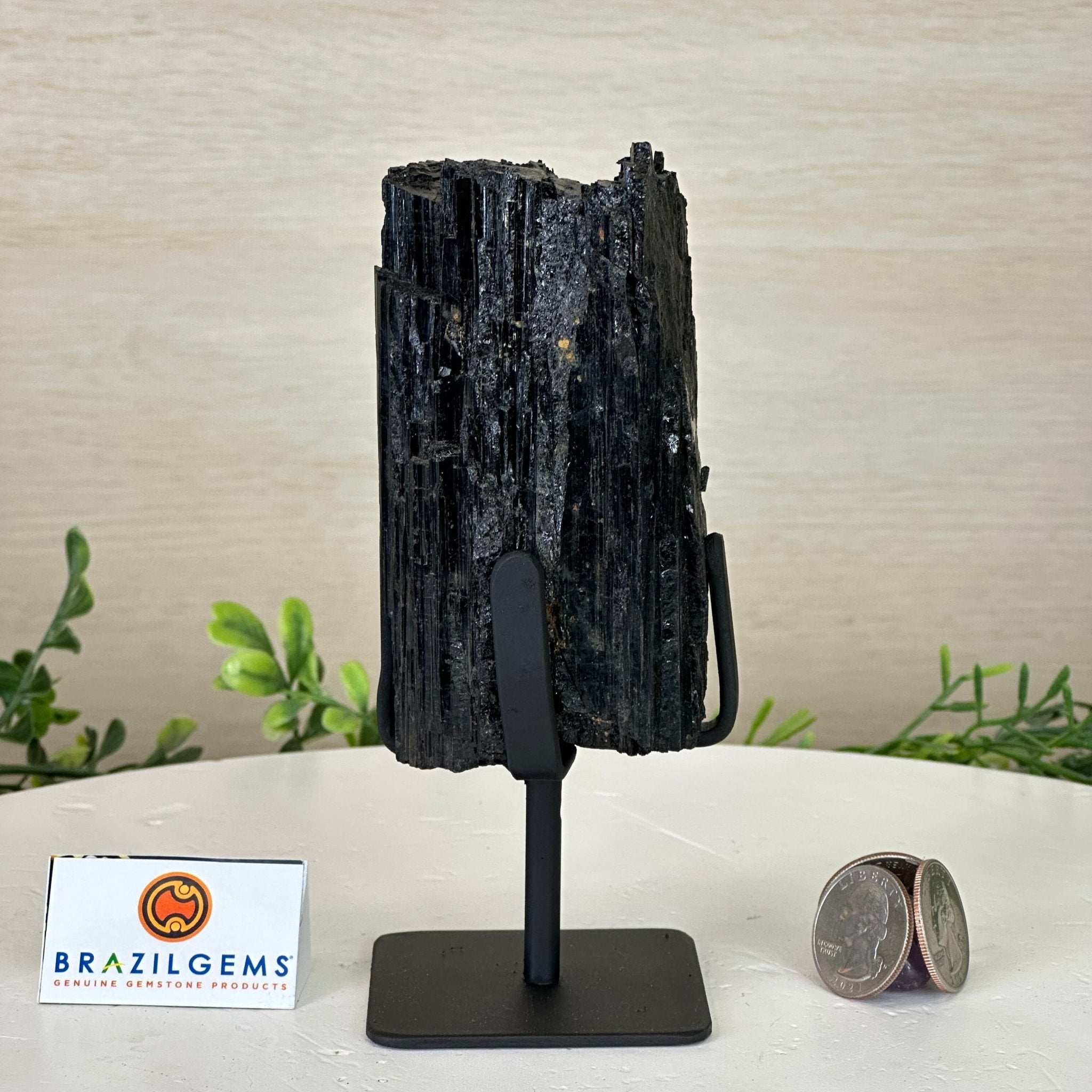 Black Tourmaline Cluster on a Metal Stand, 1.5 lbs and 6.1" Tall #6020 - 0001 - Brazil GemsBrazil GemsBlack Tourmaline Cluster on a Metal Stand, 1.5 lbs and 6.1" Tall #6020 - 0001Clusters on Wood Bases6020 - 0001