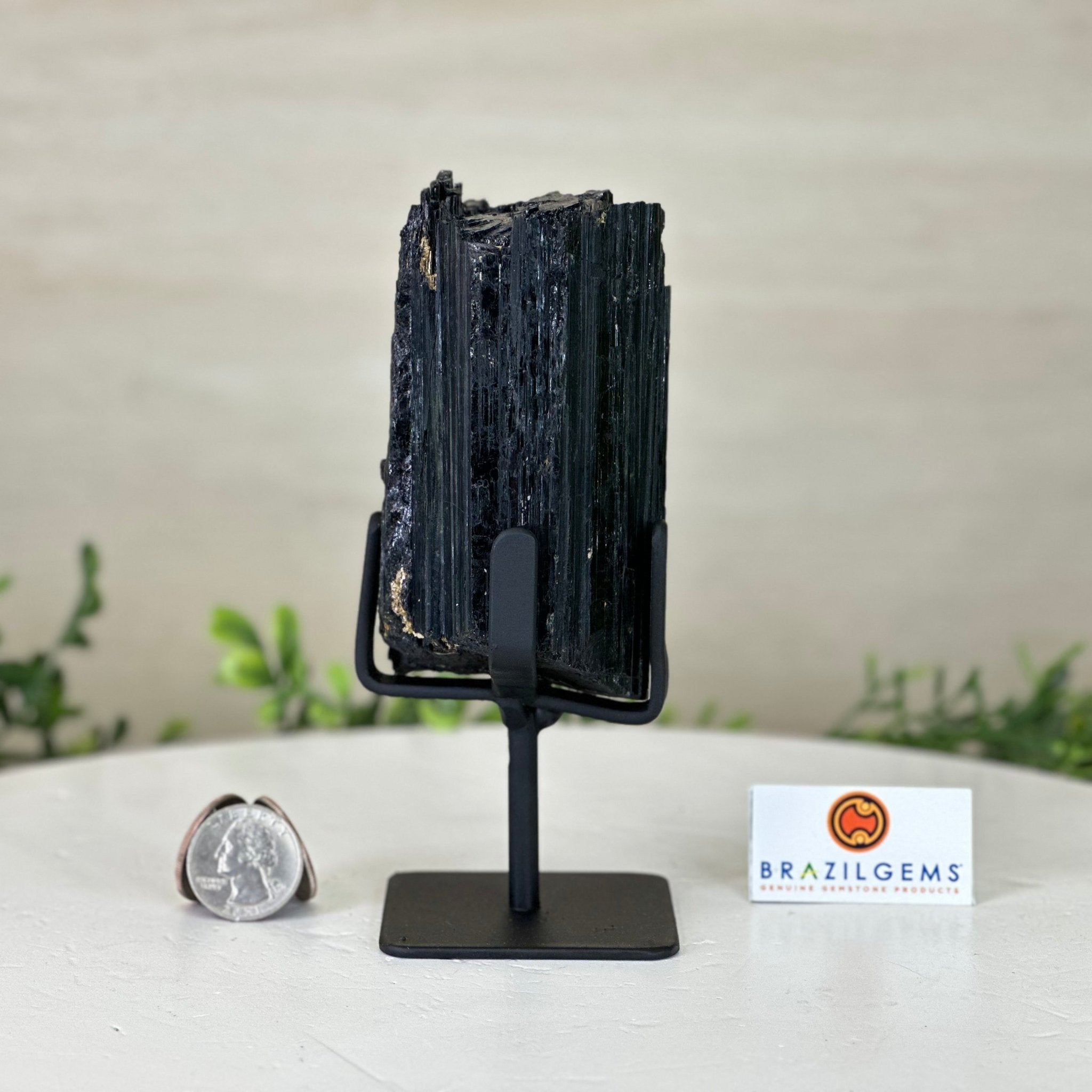 Black Tourmaline Cluster on a Metal Stand, 1.5 lbs and 6.1" Tall #6020 - 0001 - Brazil GemsBrazil GemsBlack Tourmaline Cluster on a Metal Stand, 1.5 lbs and 6.1" Tall #6020 - 0001Clusters on Wood Bases6020 - 0001