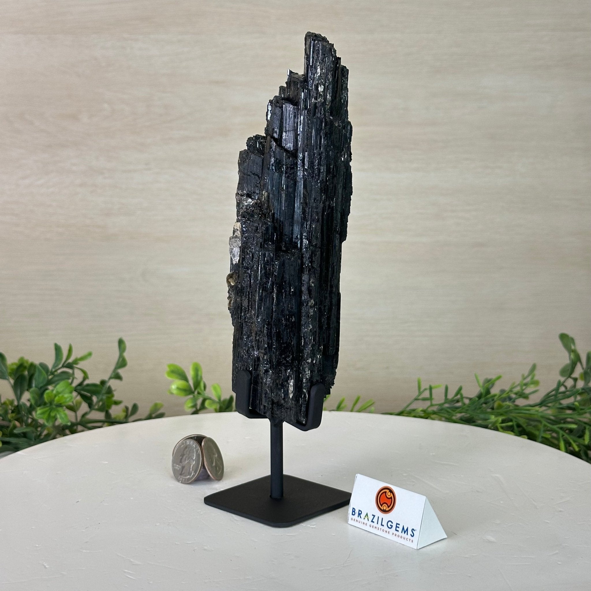 Black Tourmaline Cluster on a Metal Stand, 2.4 lbs and 9.5" Tall #6020 - 0002 - Brazil GemsBrazil GemsBlack Tourmaline Cluster on a Metal Stand, 2.4 lbs and 9.5" Tall #6020 - 0002Clusters on Wood Bases6020 - 0002