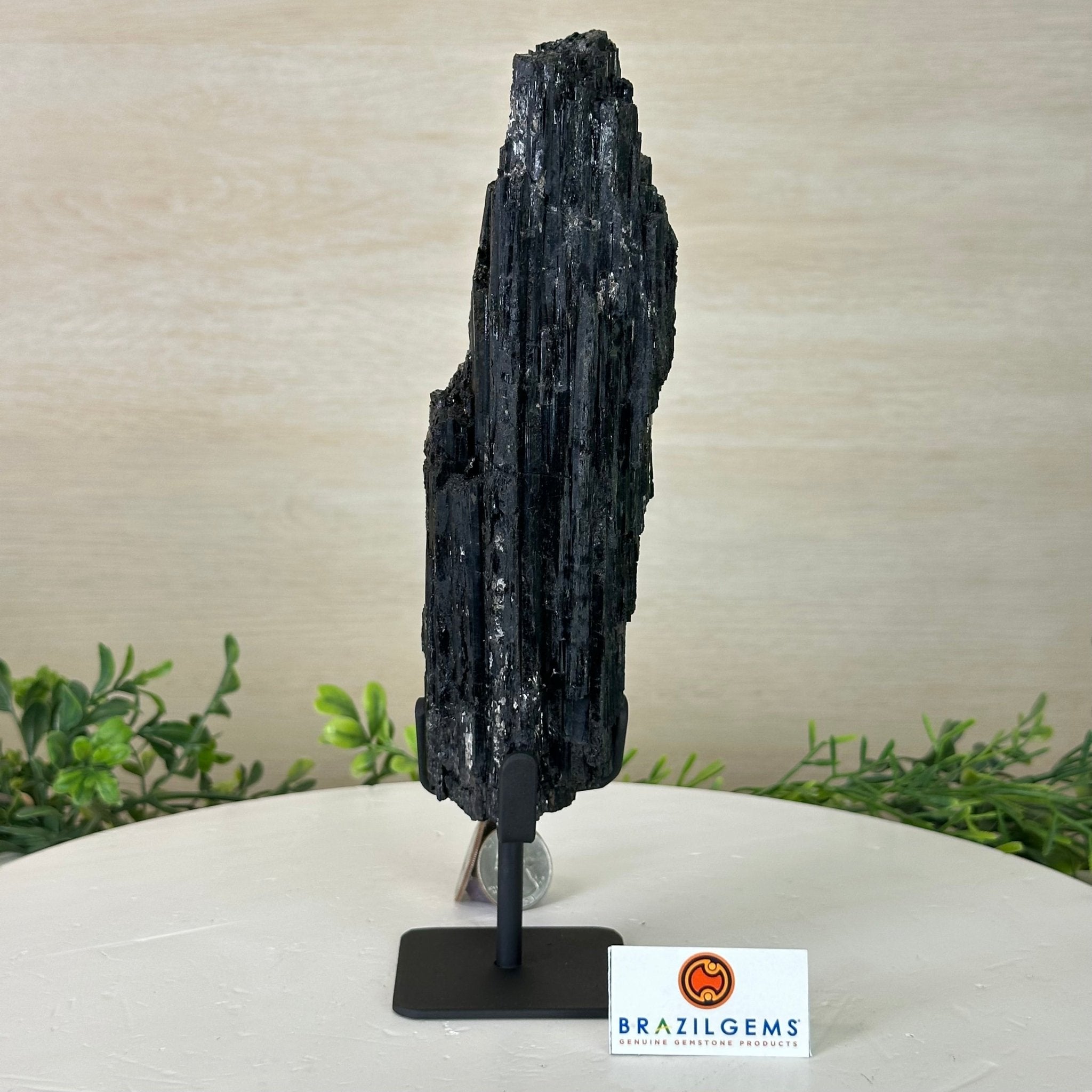 Black Tourmaline Cluster on a Metal Stand, 2.4 lbs and 9.5" Tall #6020 - 0002 - Brazil GemsBrazil GemsBlack Tourmaline Cluster on a Metal Stand, 2.4 lbs and 9.5" Tall #6020 - 0002Clusters on Wood Bases6020 - 0002