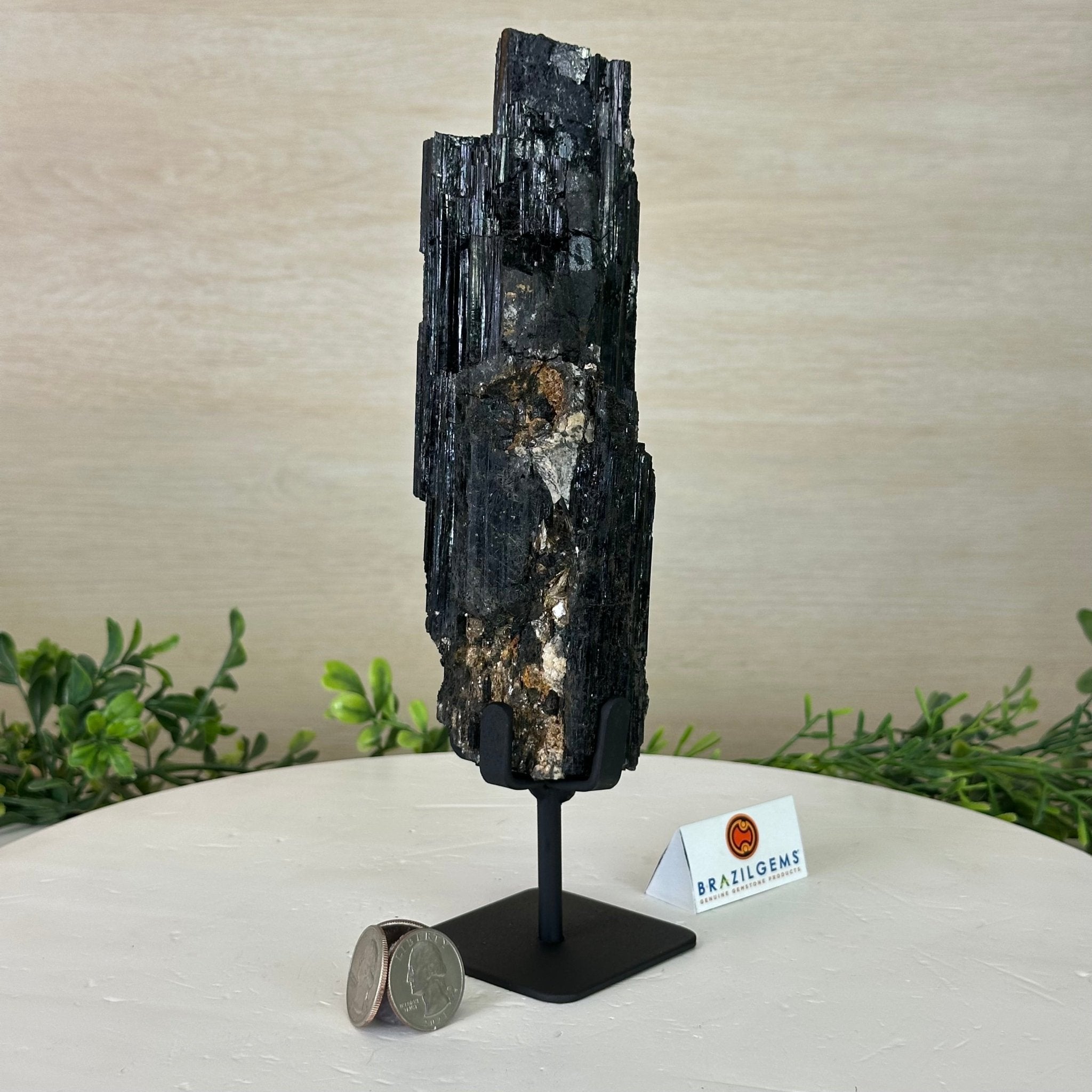 Black Tourmaline Cluster on a Metal Stand, 2.4 lbs and 9.5" Tall #6020 - 0002 - Brazil GemsBrazil GemsBlack Tourmaline Cluster on a Metal Stand, 2.4 lbs and 9.5" Tall #6020 - 0002Clusters on Wood Bases6020 - 0002