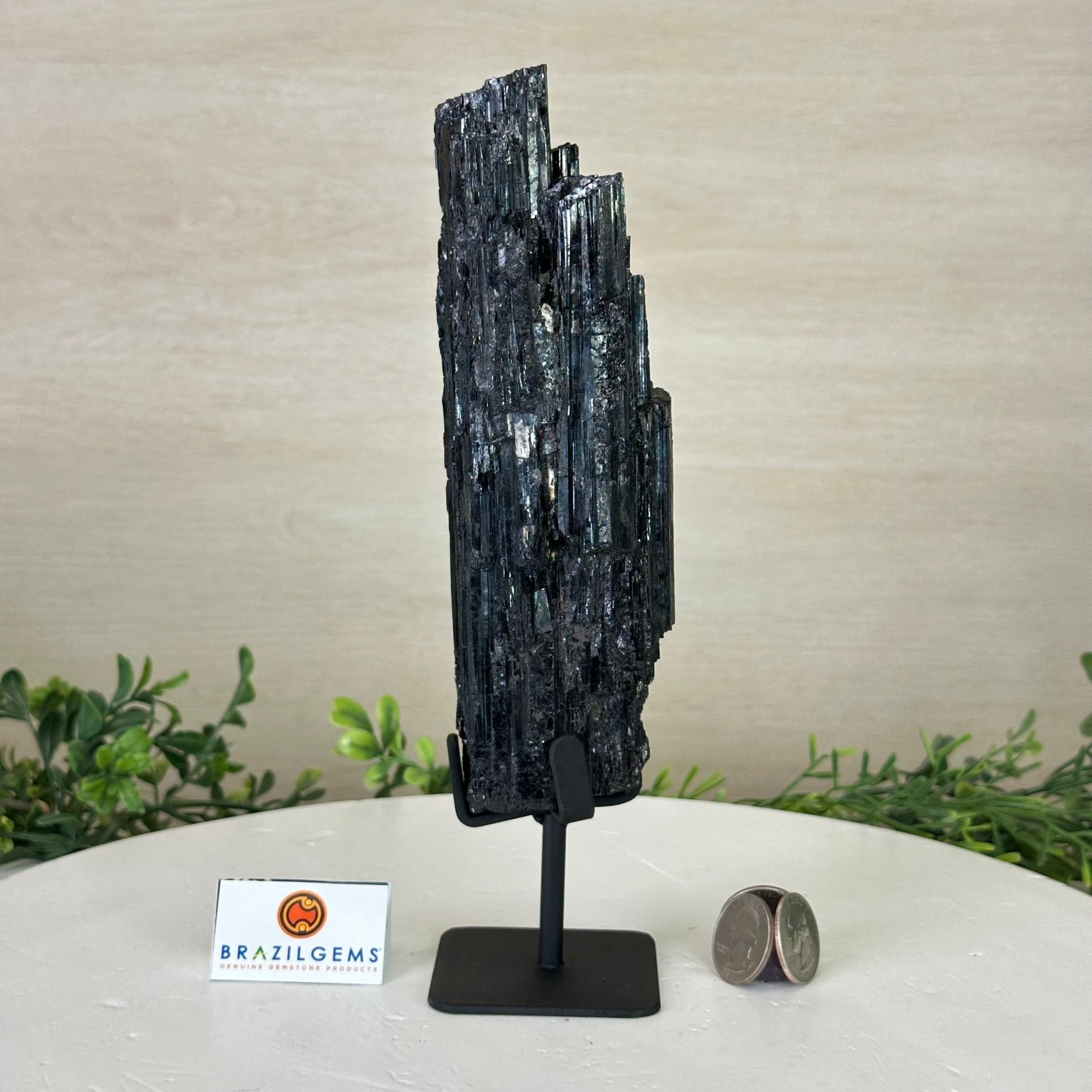 Black Tourmaline Cluster on a Metal Stand, 2.4 lbs and 9.5" Tall #6020 - 0002 - Brazil GemsBrazil GemsBlack Tourmaline Cluster on a Metal Stand, 2.4 lbs and 9.5" Tall #6020 - 0002Clusters on Wood Bases6020 - 0002