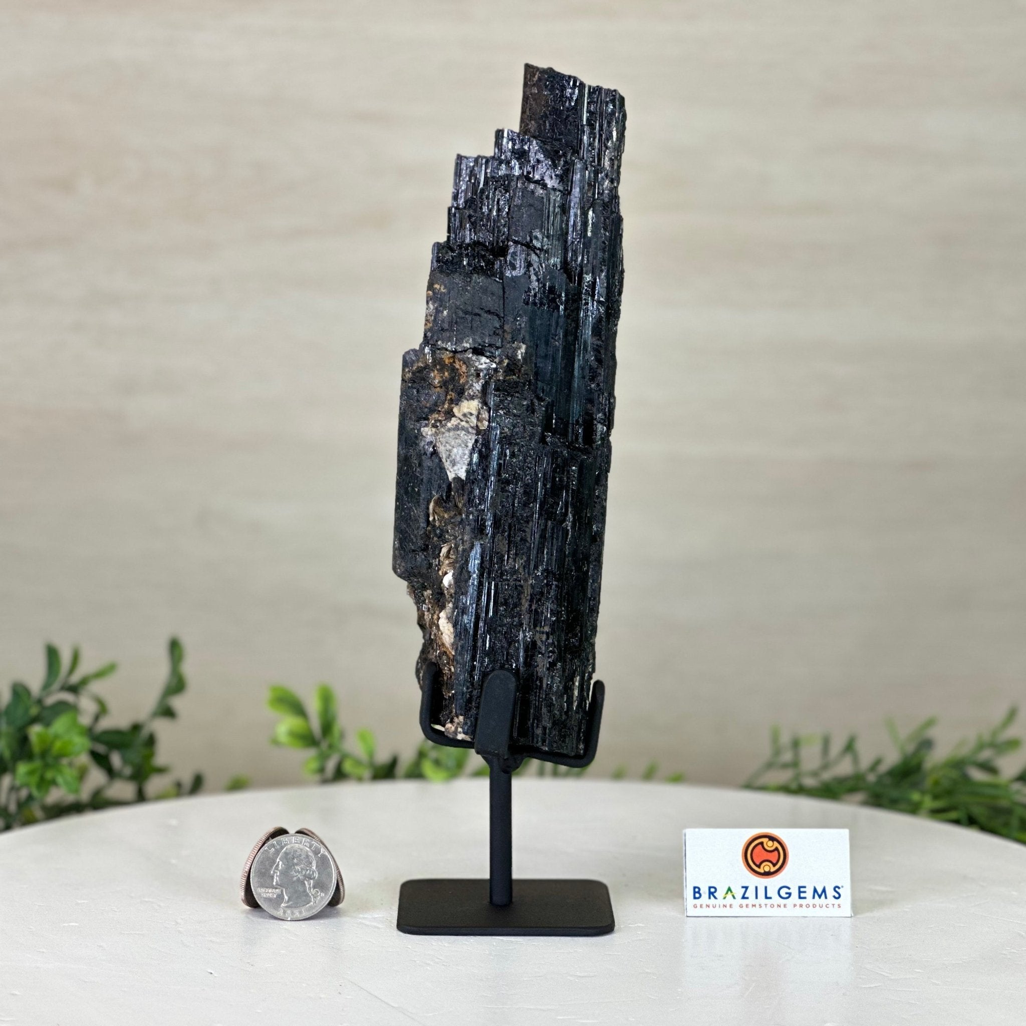 Black Tourmaline Cluster on a Metal Stand, 2.4 lbs and 9.5" Tall #6020 - 0002 - Brazil GemsBrazil GemsBlack Tourmaline Cluster on a Metal Stand, 2.4 lbs and 9.5" Tall #6020 - 0002Clusters on Wood Bases6020 - 0002