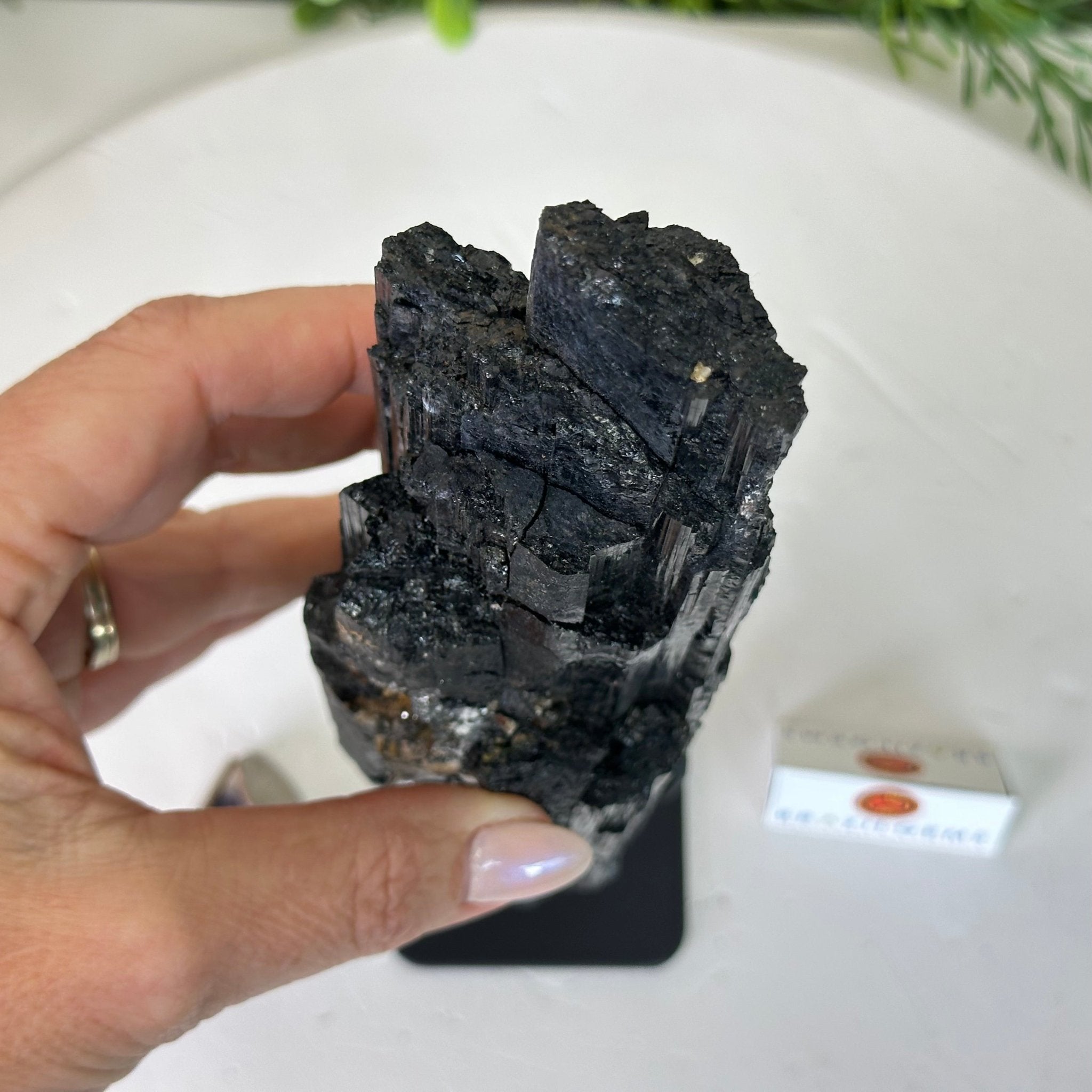 Black Tourmaline Cluster on a Metal Stand, 2.4 lbs and 9.5" Tall #6020 - 0002 - Brazil GemsBrazil GemsBlack Tourmaline Cluster on a Metal Stand, 2.4 lbs and 9.5" Tall #6020 - 0002Clusters on Wood Bases6020 - 0002
