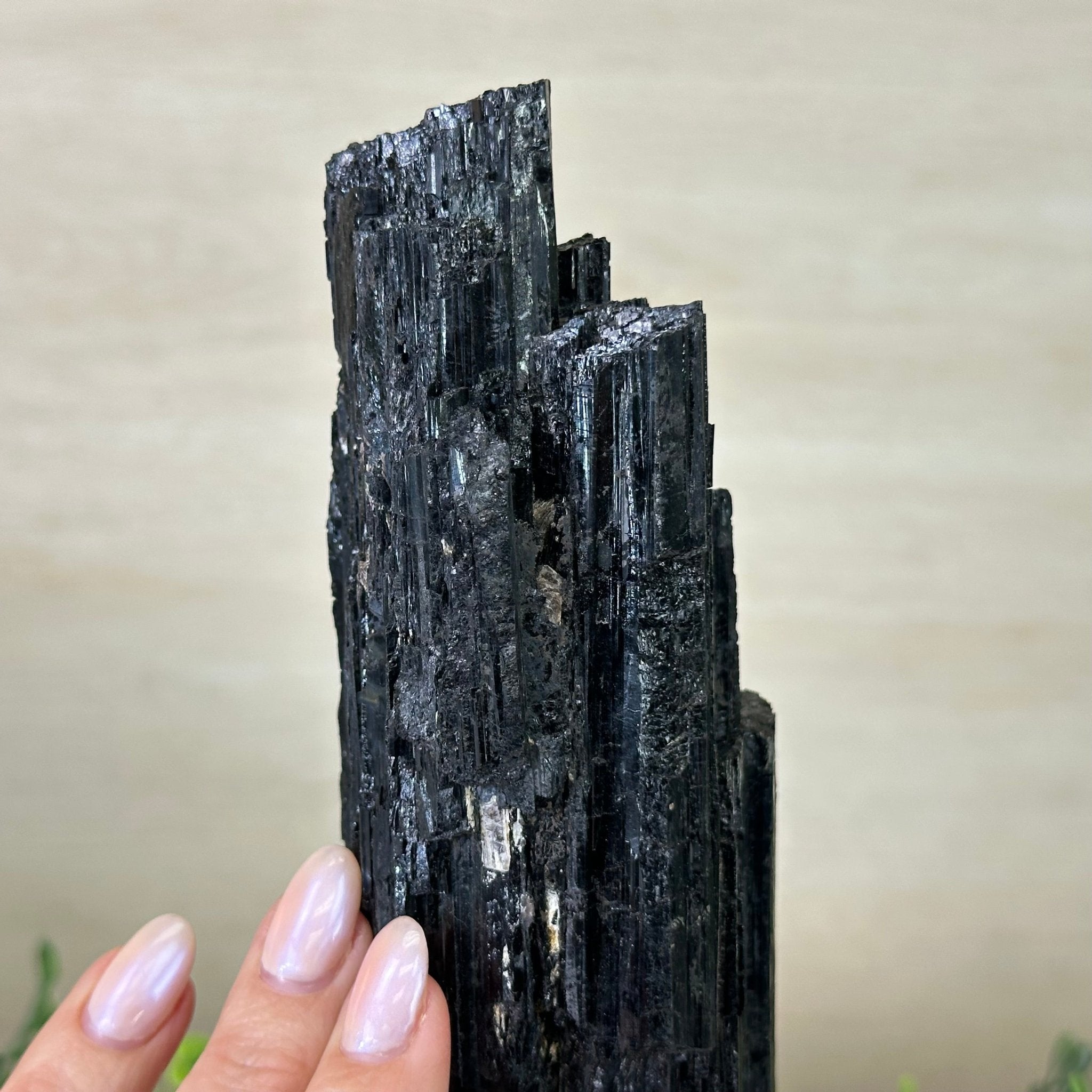Black Tourmaline Cluster on a Metal Stand, 2.4 lbs and 9.5" Tall #6020 - 0002 - Brazil GemsBrazil GemsBlack Tourmaline Cluster on a Metal Stand, 2.4 lbs and 9.5" Tall #6020 - 0002Clusters on Wood Bases6020 - 0002