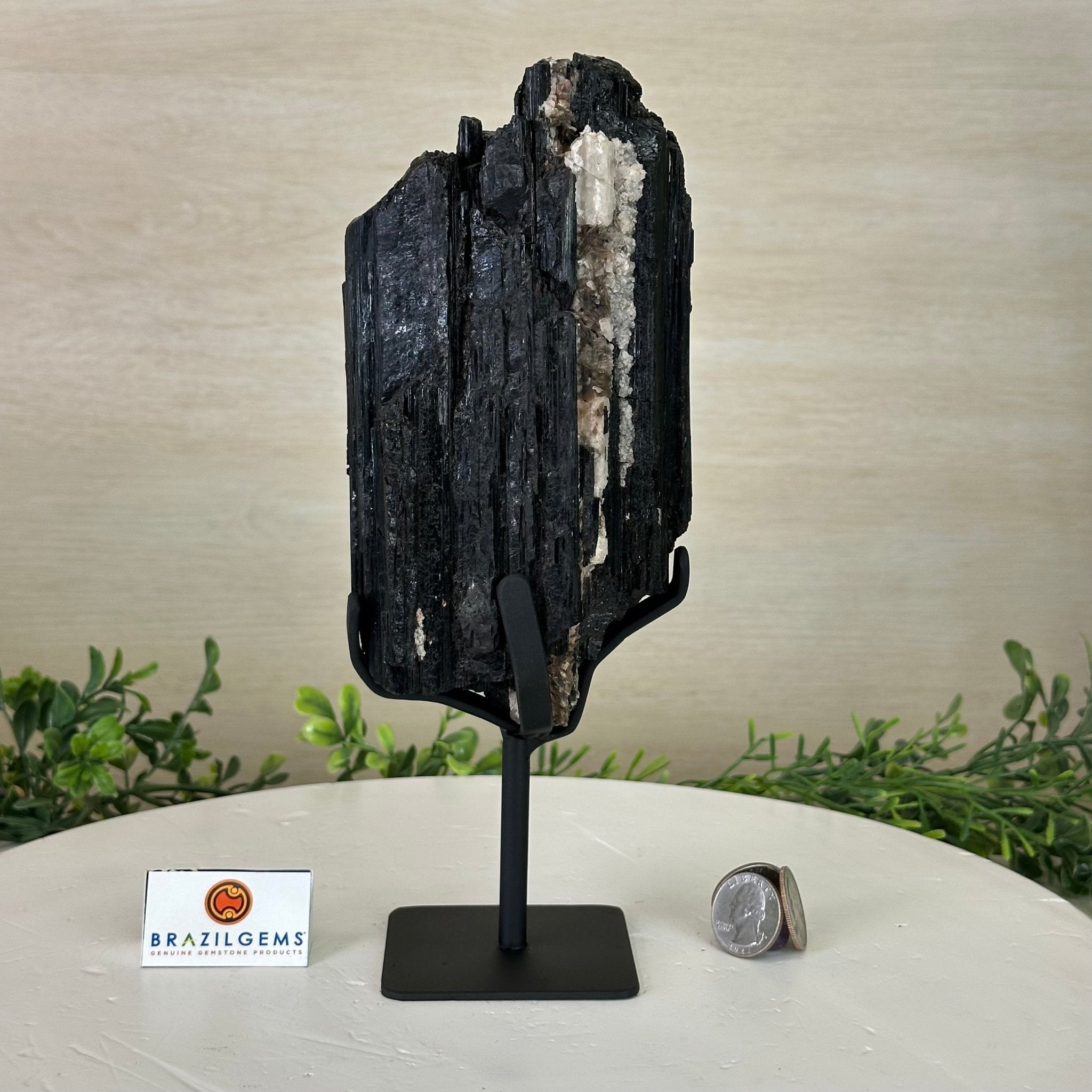 Black Tourmaline Cluster on a Metal Stand, 3.2 lbs and 10" Tall #6020 - 0003 - Brazil GemsBrazil GemsBlack Tourmaline Cluster on a Metal Stand, 3.2 lbs and 10" Tall #6020 - 0003Clusters on Wood Bases6020 - 0003