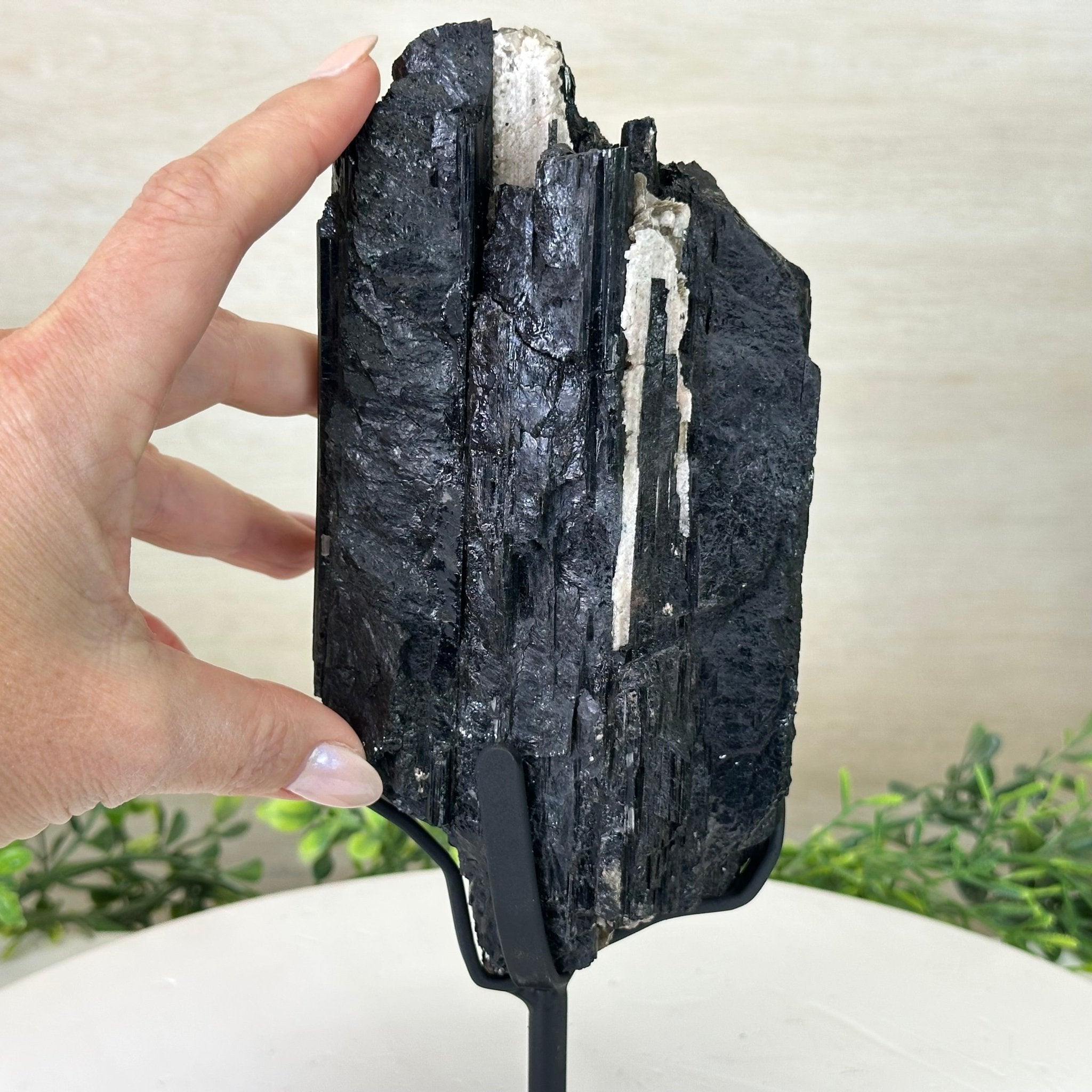 Black Tourmaline Cluster on a Metal Stand, 3.2 lbs and 10" Tall #6020 - 0003 - Brazil GemsBrazil GemsBlack Tourmaline Cluster on a Metal Stand, 3.2 lbs and 10" Tall #6020 - 0003Clusters on Wood Bases6020 - 0003