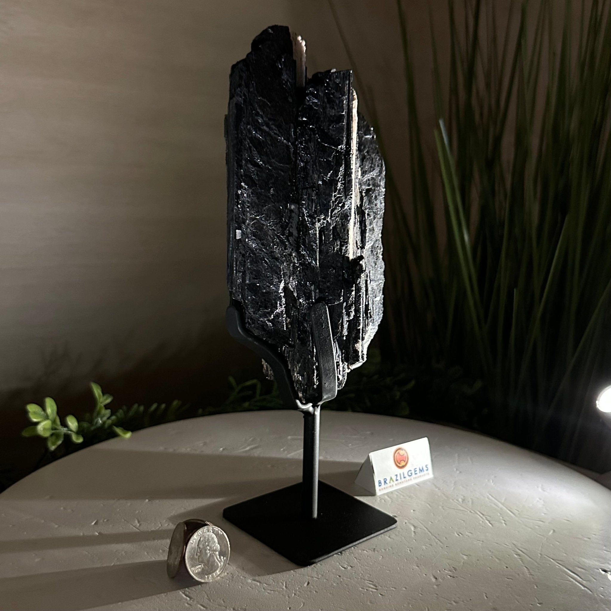 Black Tourmaline Cluster on a Metal Stand, 3.2 lbs and 10" Tall #6020 - 0003 - Brazil GemsBrazil GemsBlack Tourmaline Cluster on a Metal Stand, 3.2 lbs and 10" Tall #6020 - 0003Clusters on Wood Bases6020 - 0003