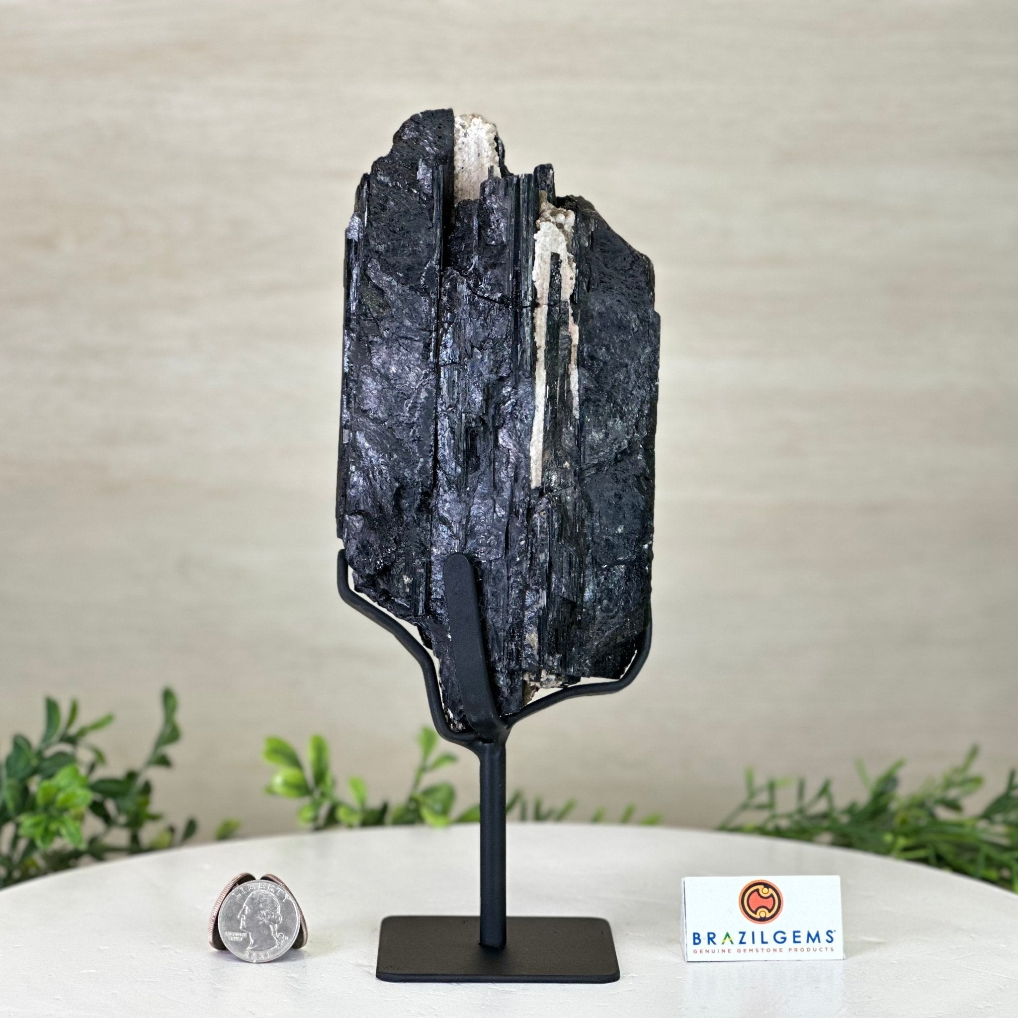 Black Tourmaline Cluster on a Metal Stand, 3.2 lbs and 10" Tall #6020 - 0003 - Brazil GemsBrazil GemsBlack Tourmaline Cluster on a Metal Stand, 3.2 lbs and 10" Tall #6020 - 0003Clusters on Wood Bases6020 - 0003