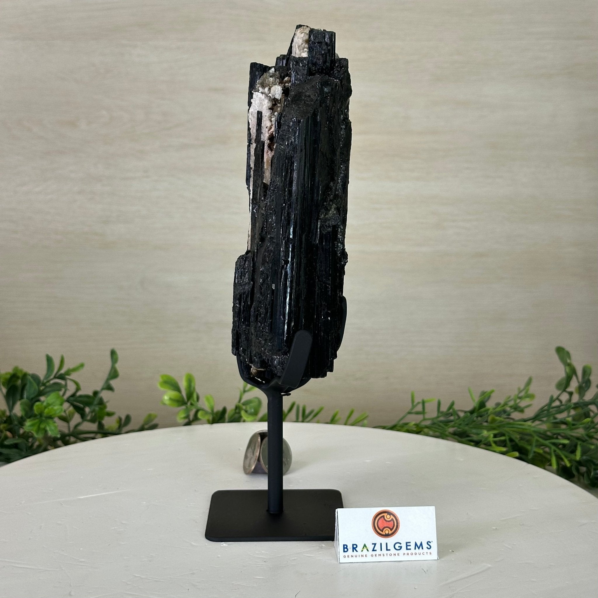 Black Tourmaline Cluster on a Metal Stand, 3.2 lbs and 10" Tall #6020 - 0003 - Brazil GemsBrazil GemsBlack Tourmaline Cluster on a Metal Stand, 3.2 lbs and 10" Tall #6020 - 0003Clusters on Wood Bases6020 - 0003