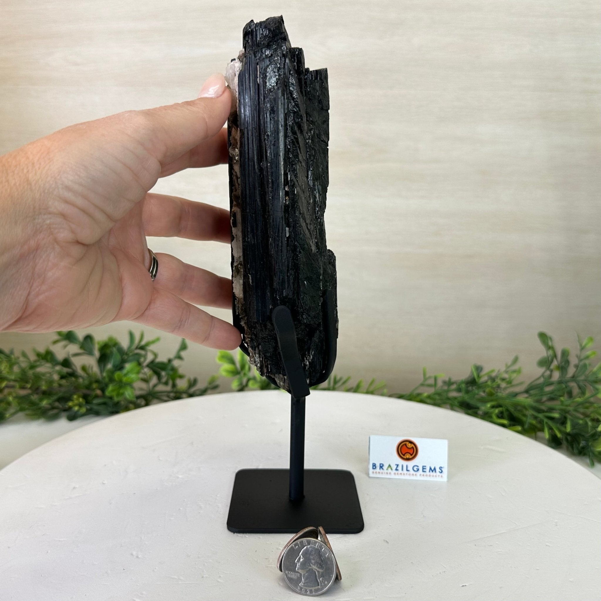 Black Tourmaline Cluster on a Metal Stand, 3.2 lbs and 10" Tall #6020 - 0003 - Brazil GemsBrazil GemsBlack Tourmaline Cluster on a Metal Stand, 3.2 lbs and 10" Tall #6020 - 0003Clusters on Wood Bases6020 - 0003