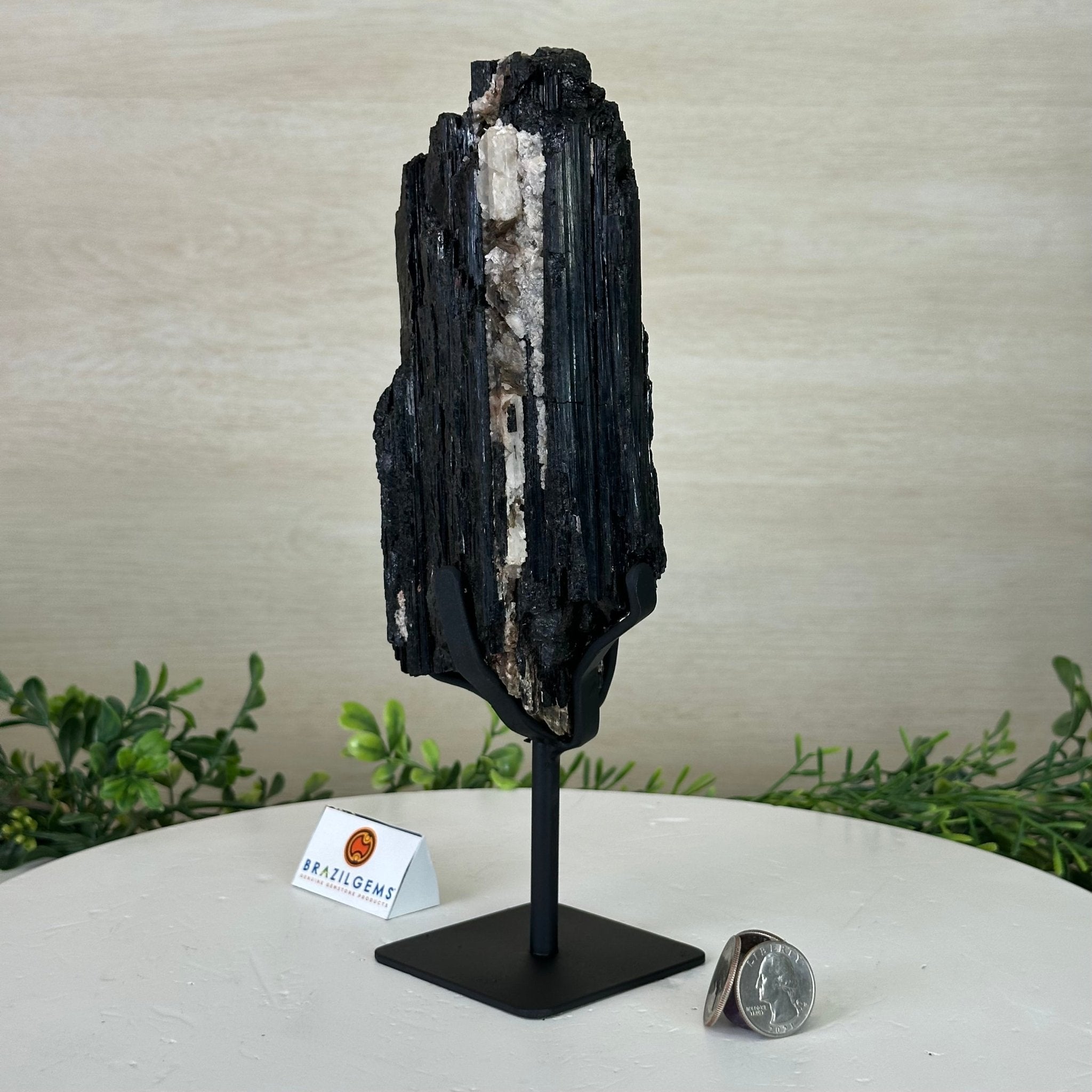 Black Tourmaline Cluster on a Metal Stand, 3.2 lbs and 10" Tall #6020 - 0003 - Brazil GemsBrazil GemsBlack Tourmaline Cluster on a Metal Stand, 3.2 lbs and 10" Tall #6020 - 0003Clusters on Wood Bases6020 - 0003