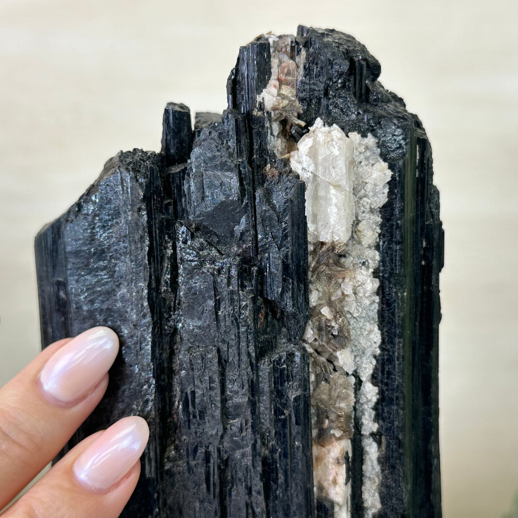 Black Tourmaline Cluster on a Metal Stand, 3.2 lbs and 10" Tall #6020 - 0003 - Brazil GemsBrazil GemsBlack Tourmaline Cluster on a Metal Stand, 3.2 lbs and 10" Tall #6020 - 0003Clusters on Wood Bases6020 - 0003