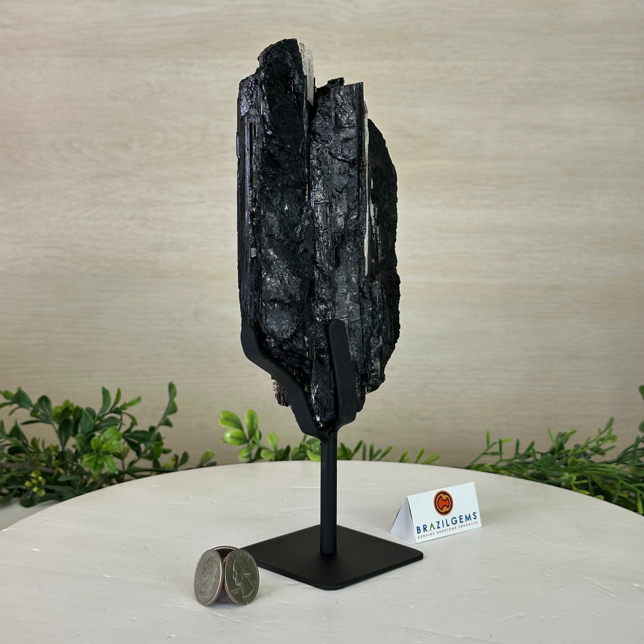 Black Tourmaline Cluster on a Metal Stand, 3.2 lbs and 10" Tall #6020 - 0003 - Brazil GemsBrazil GemsBlack Tourmaline Cluster on a Metal Stand, 3.2 lbs and 10" Tall #6020 - 0003Clusters on Wood Bases6020 - 0003