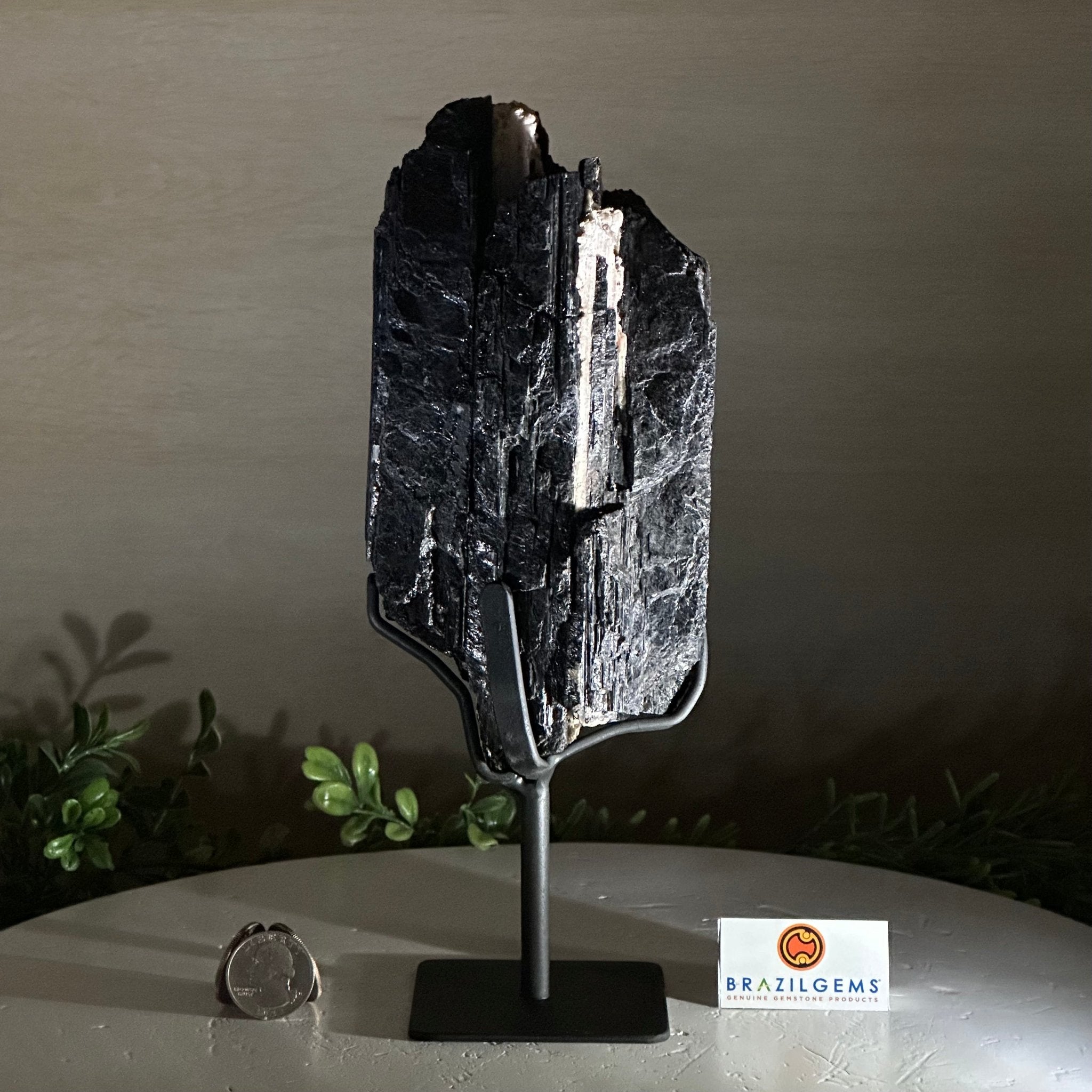 Black Tourmaline Cluster on a Metal Stand, 3.2 lbs and 10" Tall #6020 - 0003 - Brazil GemsBrazil GemsBlack Tourmaline Cluster on a Metal Stand, 3.2 lbs and 10" Tall #6020 - 0003Clusters on Wood Bases6020 - 0003