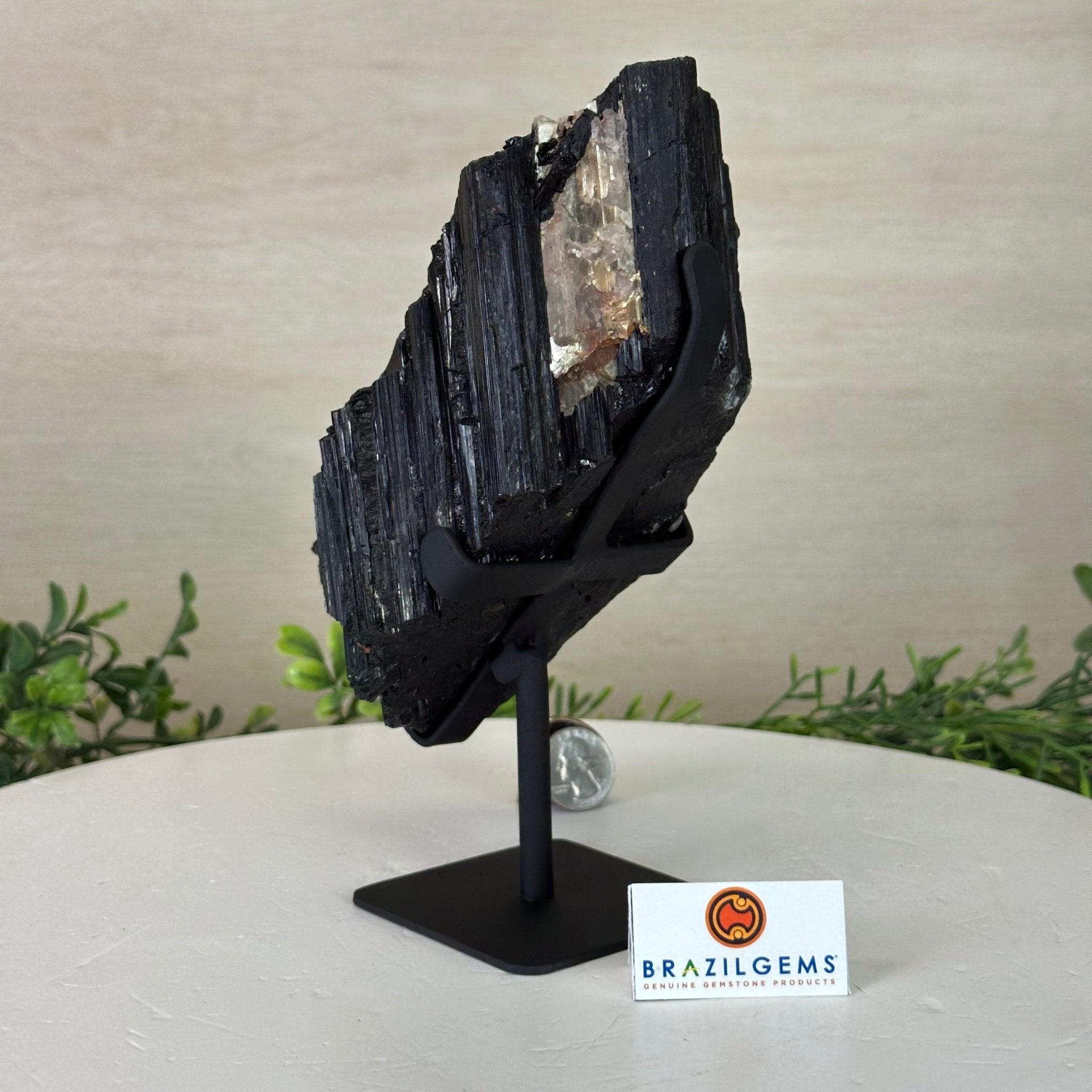 Black Tourmaline Cluster on a Metal Stand, 3.9 lbs and 7.8" Tall #6020 - 0004 - Brazil GemsBrazil GemsBlack Tourmaline Cluster on a Metal Stand, 3.9 lbs and 7.8" Tall #6020 - 0004Clusters on Wood Bases6020 - 0004