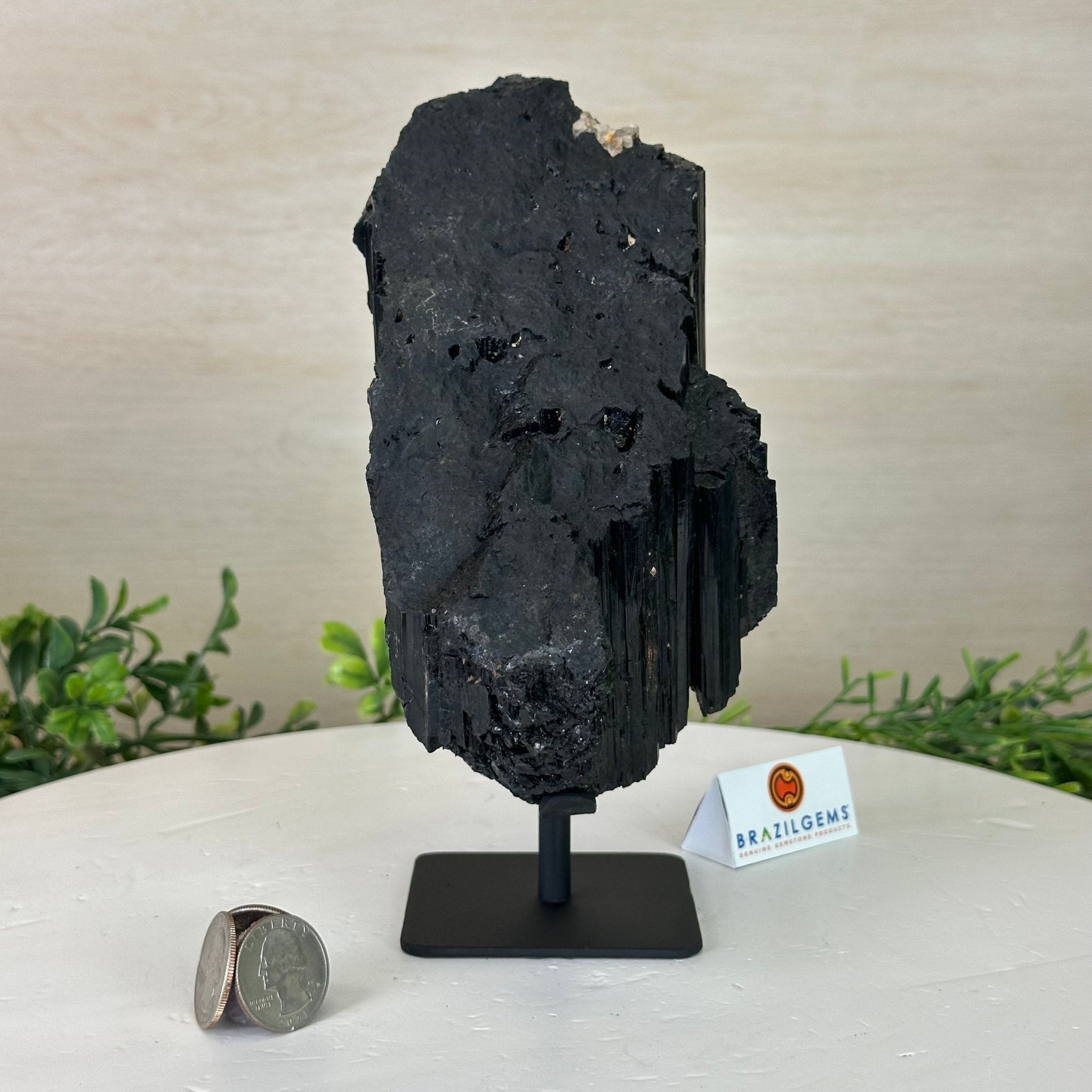 Black Tourmaline Cluster on a Metal Stand, 3.9 lbs and 7.8" Tall #6020 - 0004 - Brazil GemsBrazil GemsBlack Tourmaline Cluster on a Metal Stand, 3.9 lbs and 7.8" Tall #6020 - 0004Clusters on Wood Bases6020 - 0004