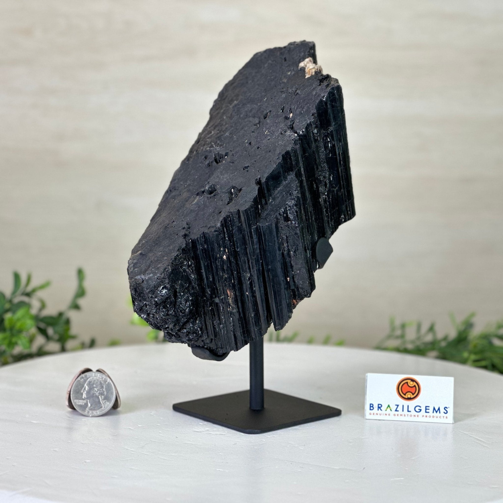 Black Tourmaline Cluster on a Metal Stand, 3.9 lbs and 7.8" Tall #6020 - 0004 - Brazil GemsBrazil GemsBlack Tourmaline Cluster on a Metal Stand, 3.9 lbs and 7.8" Tall #6020 - 0004Clusters on Wood Bases6020 - 0004