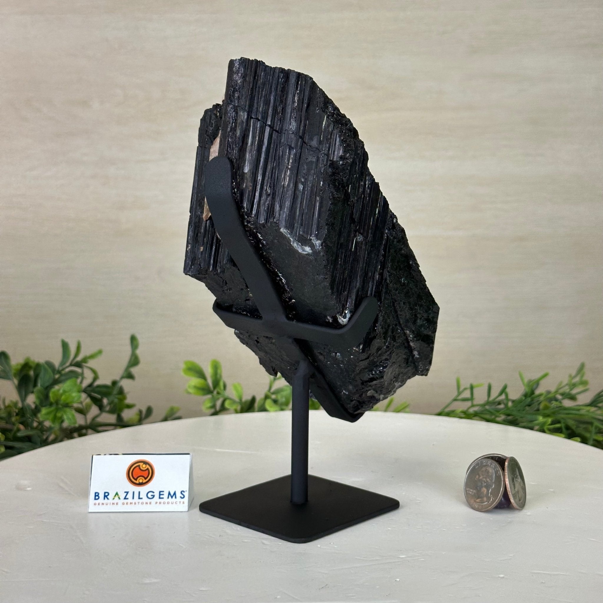 Black Tourmaline Cluster on a Metal Stand, 3.9 lbs and 7.8" Tall #6020 - 0004 - Brazil GemsBrazil GemsBlack Tourmaline Cluster on a Metal Stand, 3.9 lbs and 7.8" Tall #6020 - 0004Clusters on Wood Bases6020 - 0004